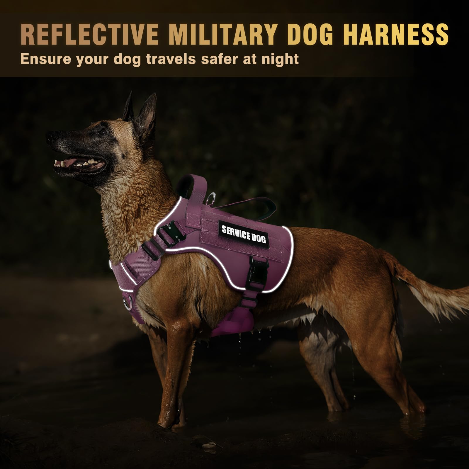 WINSEE Taktisches Hundegeschirr für große Hunde, robuste Servicehunde, MOLLE-Weste mit 10 Haustier-Patches, kein Ziehen, Militär-Arbeitsweste für Training, Jagd, Spazierengehen