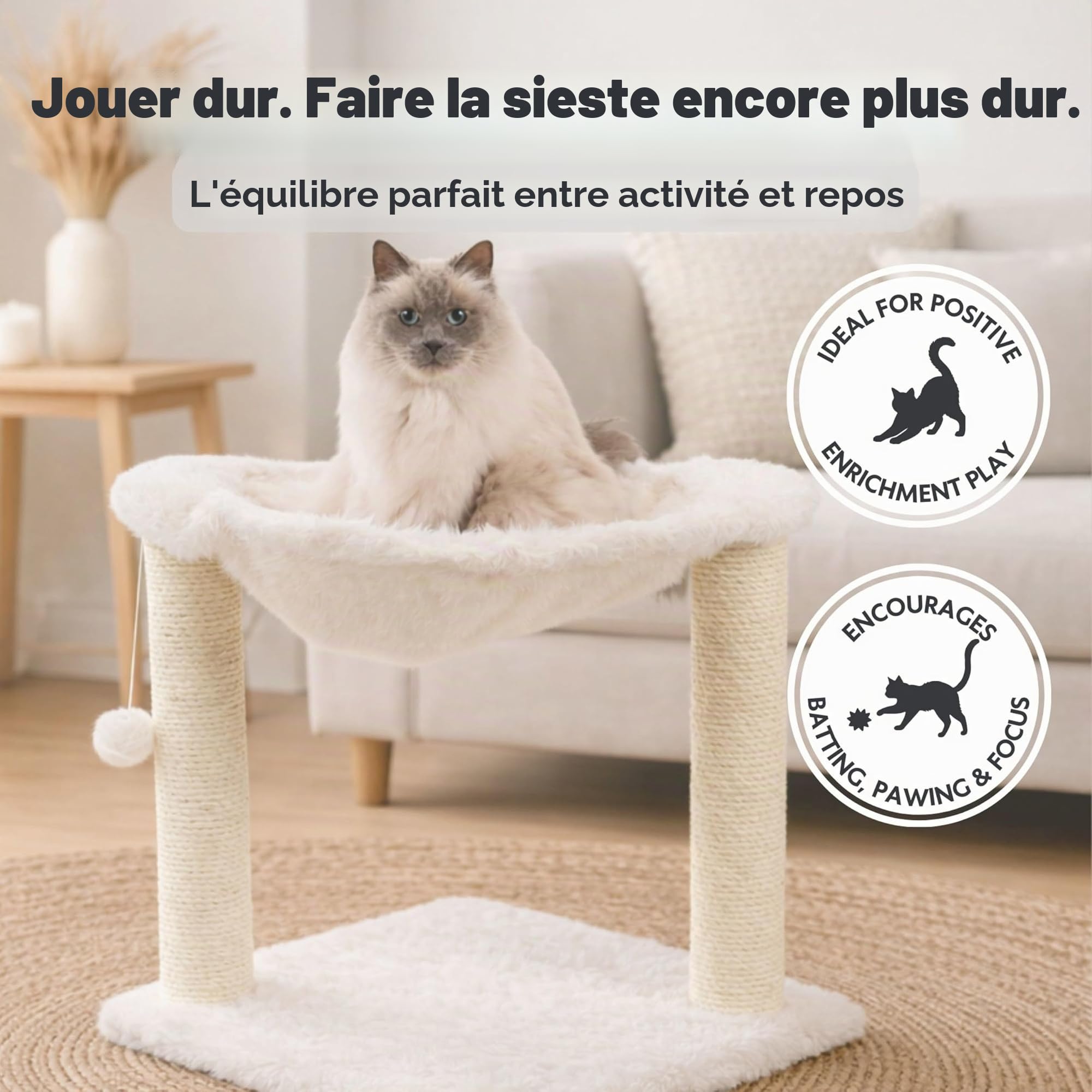 TRIXIE Arbre à chat compact Baza pour petits chats – Crème – 50 cm