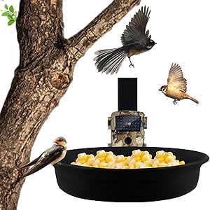 Bird Feeder Camera,Smart Bird Feeder,12MP 1080P with 32GB Waterproof Platform Bird Feeder Camera,with Bird Tray Feeder and Fixed Bracket(not Included Batteries) asin的图片
