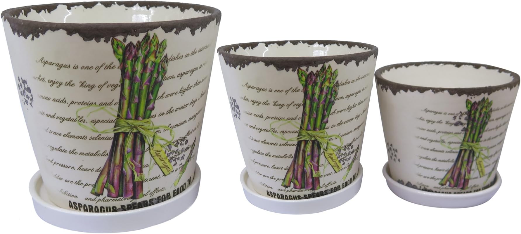 Set of 3 Planters - Ceramic Vase Asparagus. Sizes 6-5-4 Inches