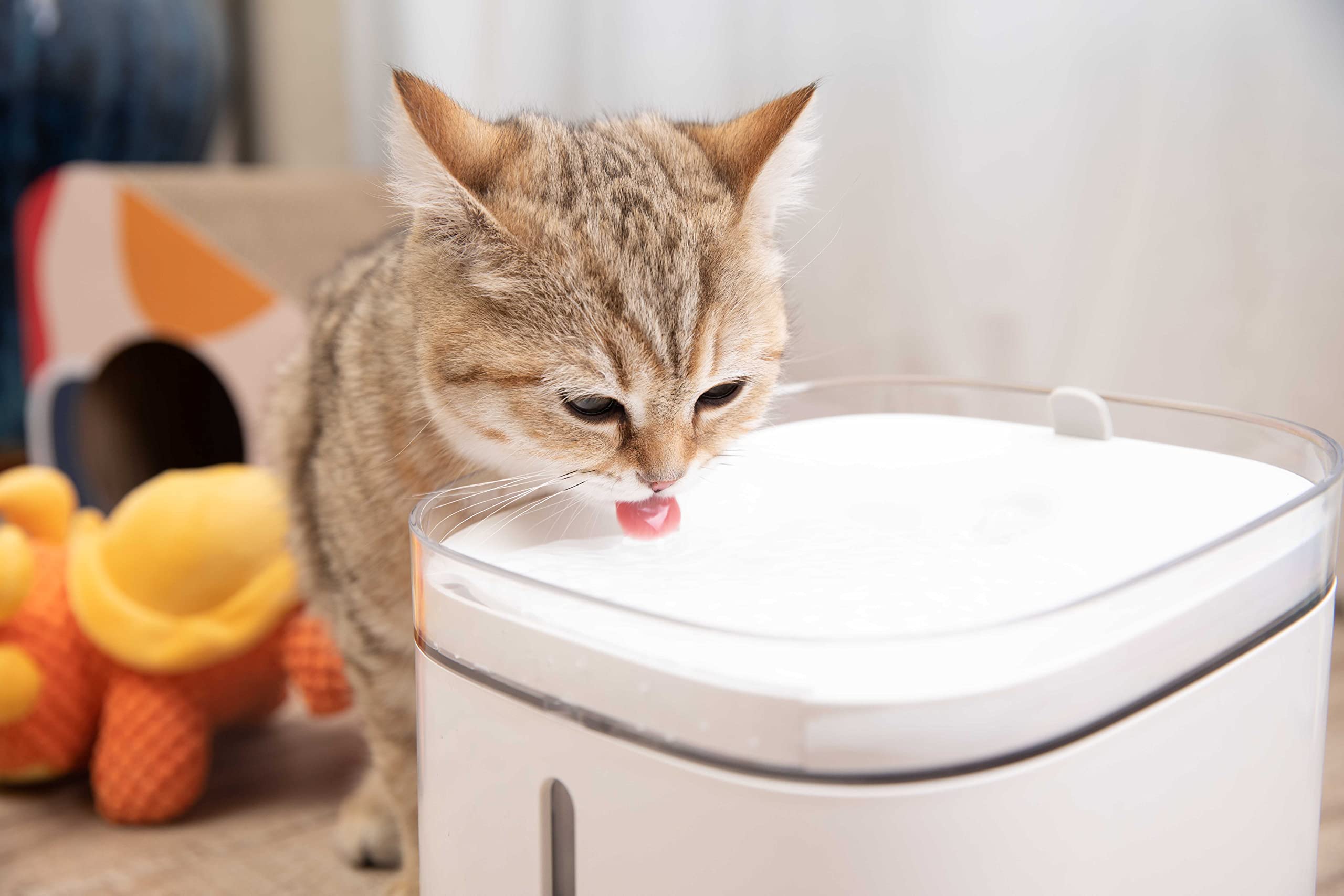 Distributore di Acqua per Animali Domestici, Dispenser Acqua Gatti, Erogazione Silenziosa, Dispenser Automatico, Controllo Remoto con App