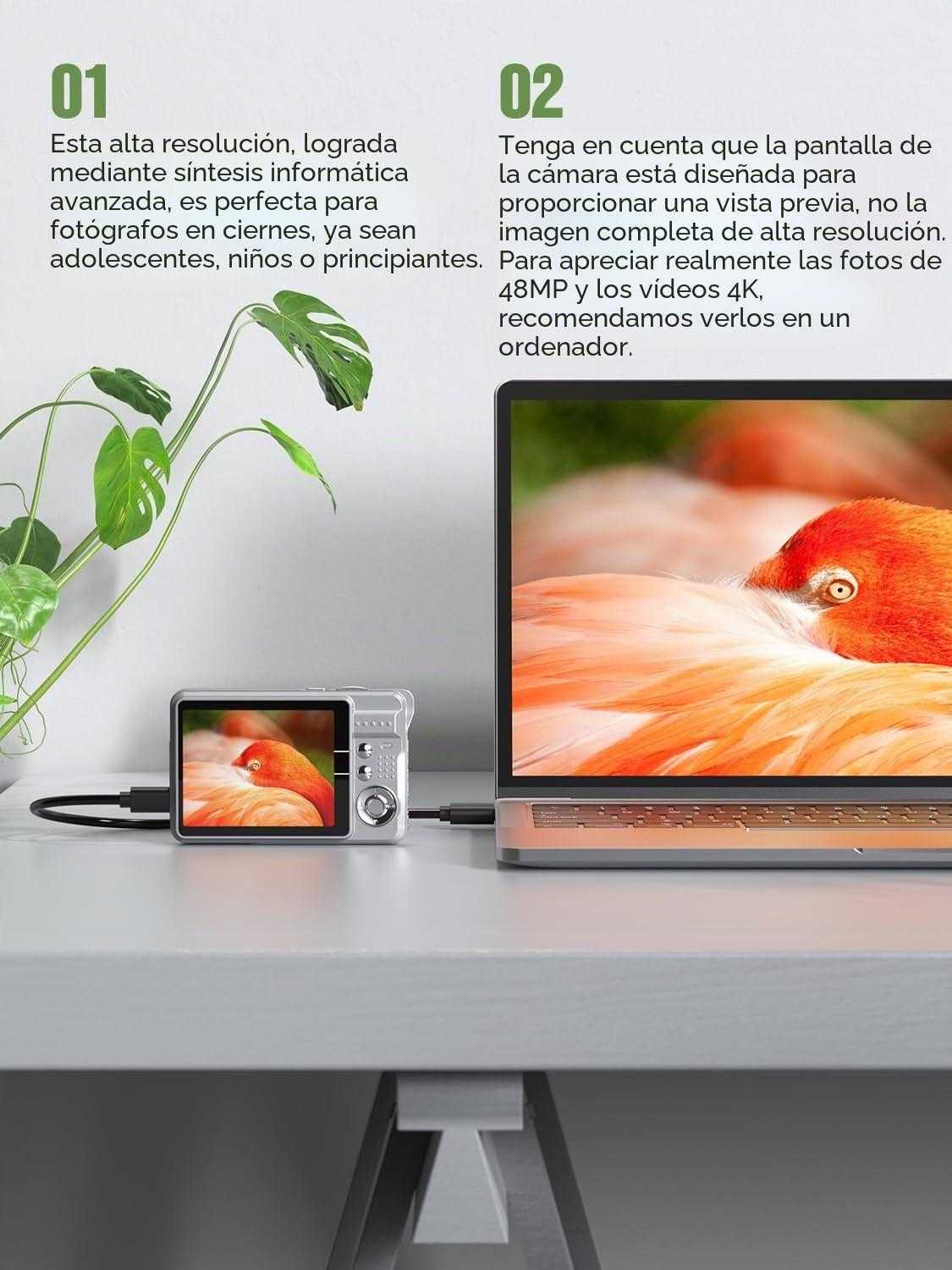Andoer Cámara digital de 48 MP, TFT de 2,8 pulgadas, enfoque automático, zoom digital de 16x, función antivibración, reconocimiento facial, grabación de sonrisas, con 2 baterías, tarjeta TF de 32 GB,