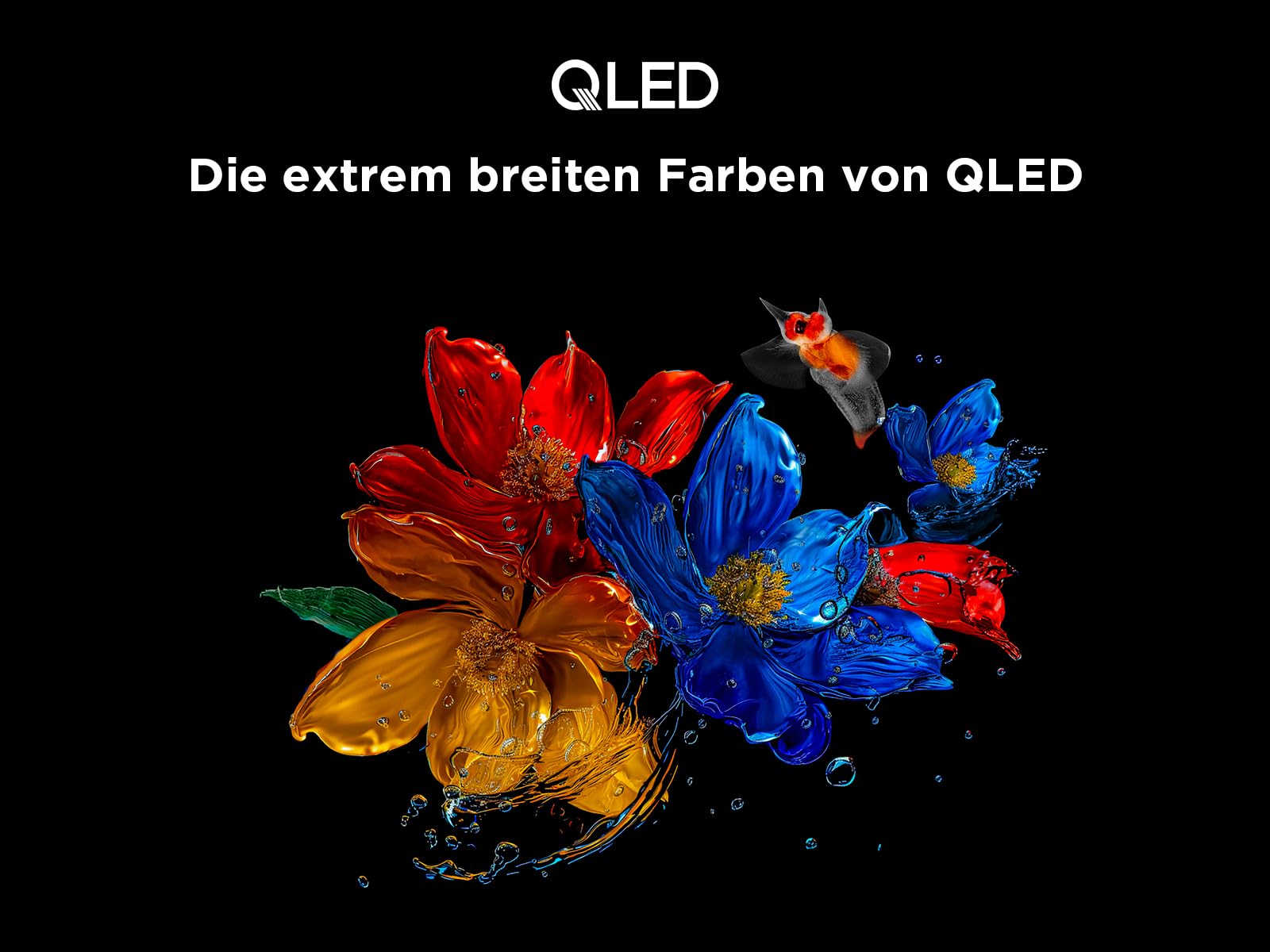 TCL 43T6C 43 Zoll QLED Fernseher, 4K UHD Fire TV, HDR10+, Dolby Vision & Atmos, Smart TV mit Sprachsteuerung mit Alexa, Google Cast & AirPlay 2