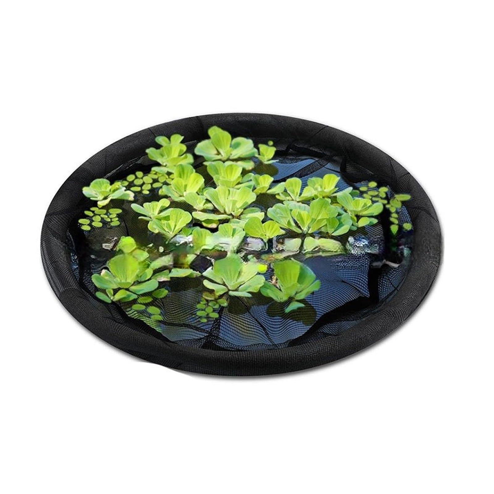 Île flottante de protection pour plantes de bassin et barrière poissons de 50 cm