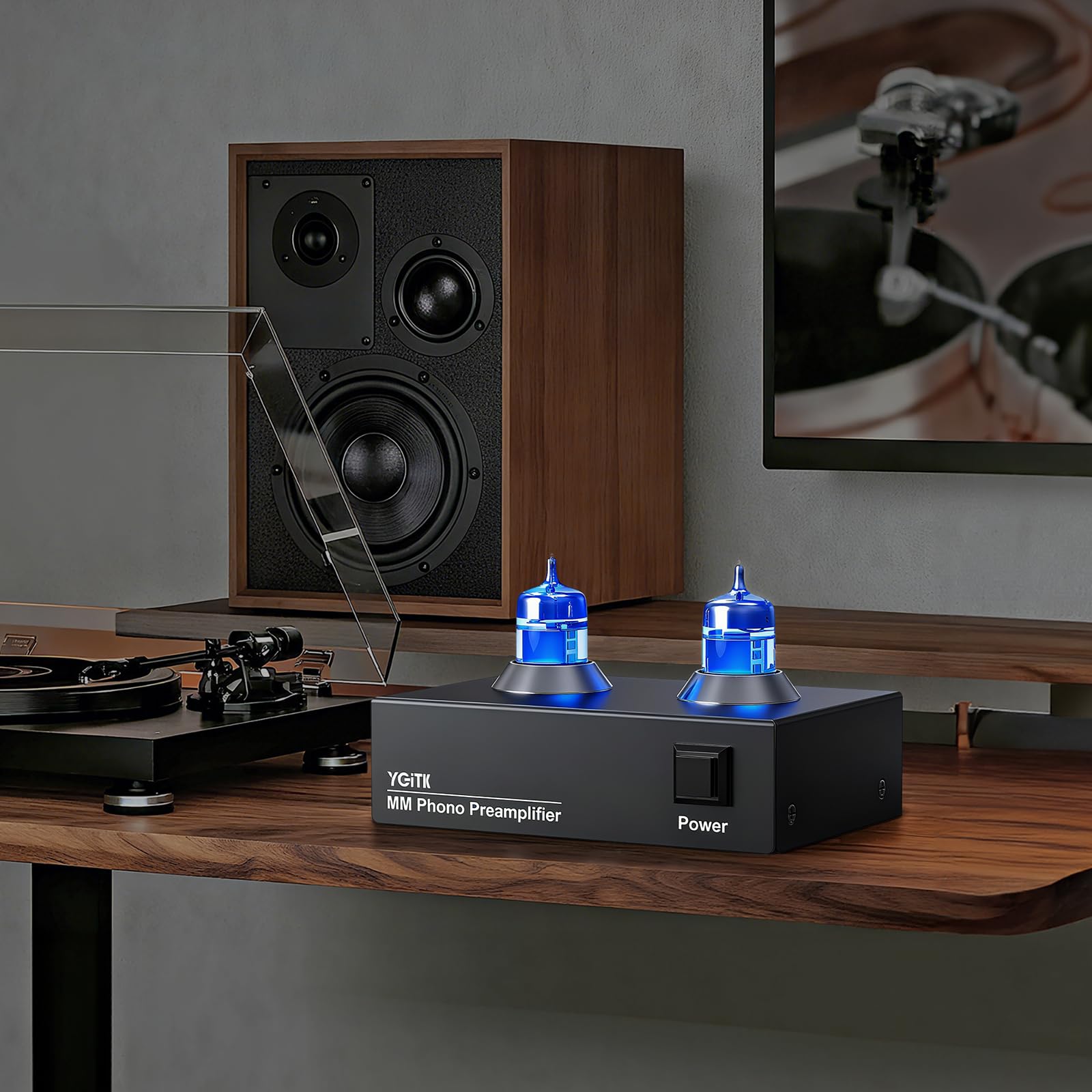 Preamplificador de Fono de Válvulas de Vacío para Tocadiscos MM Preamplificador de Giradiscos Audio Hi-Fi Stereo con Interfaz Chapada en Oro para Altavoces Computadora