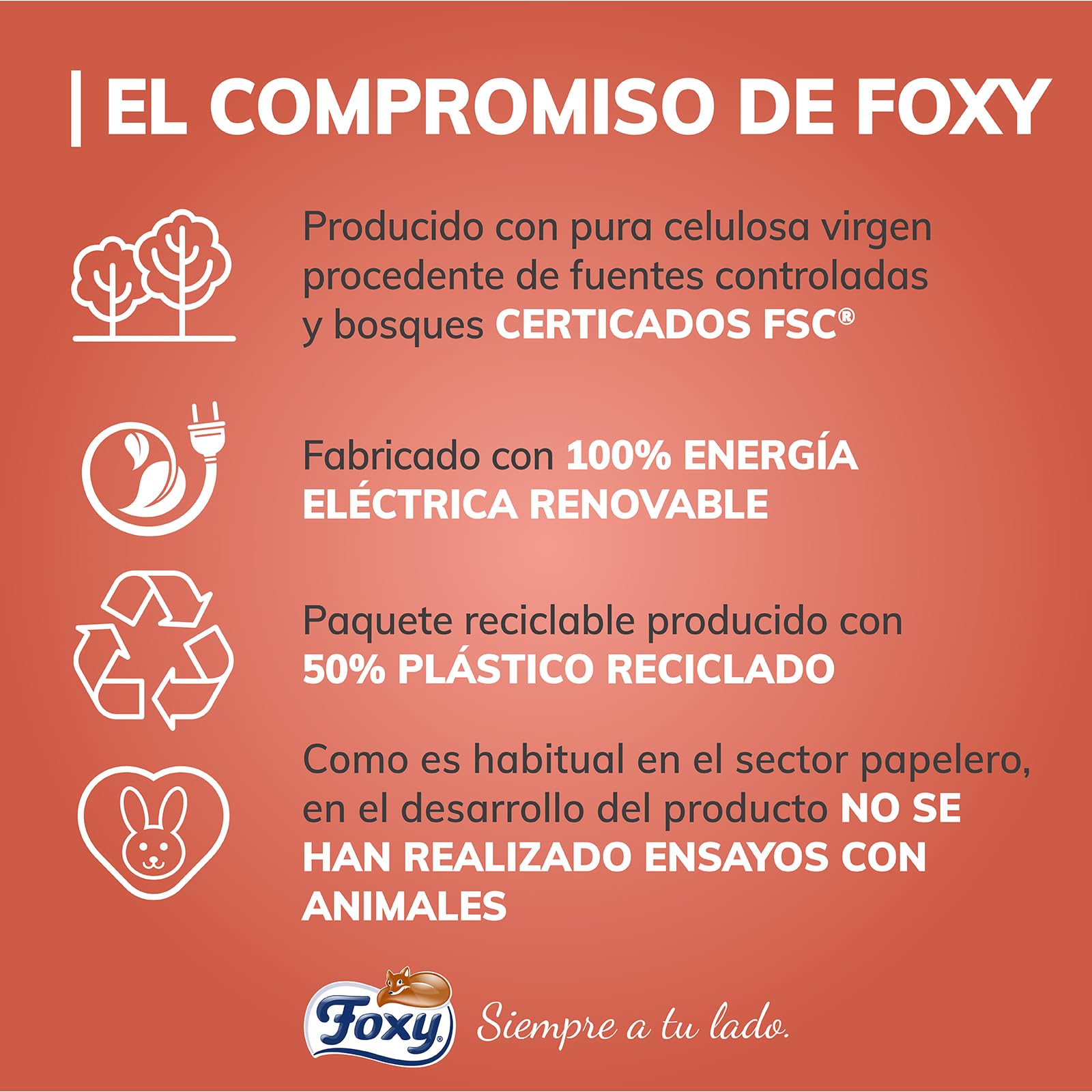 Foxy Asso Ultra Papel Cocina, 18 rollos, 3 capas Absorbentes, con diseño, Certificación FSC, Energía eléctrica renovable, Paquete reciclable producido con plástico reciclado