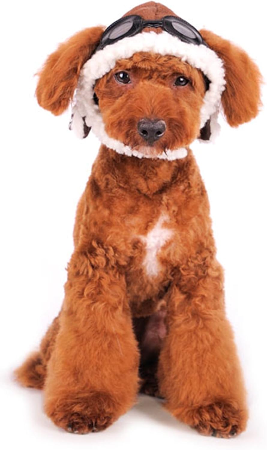 Dogo "Aviator" Hat For Cat Dog Puppy Pet (XS)