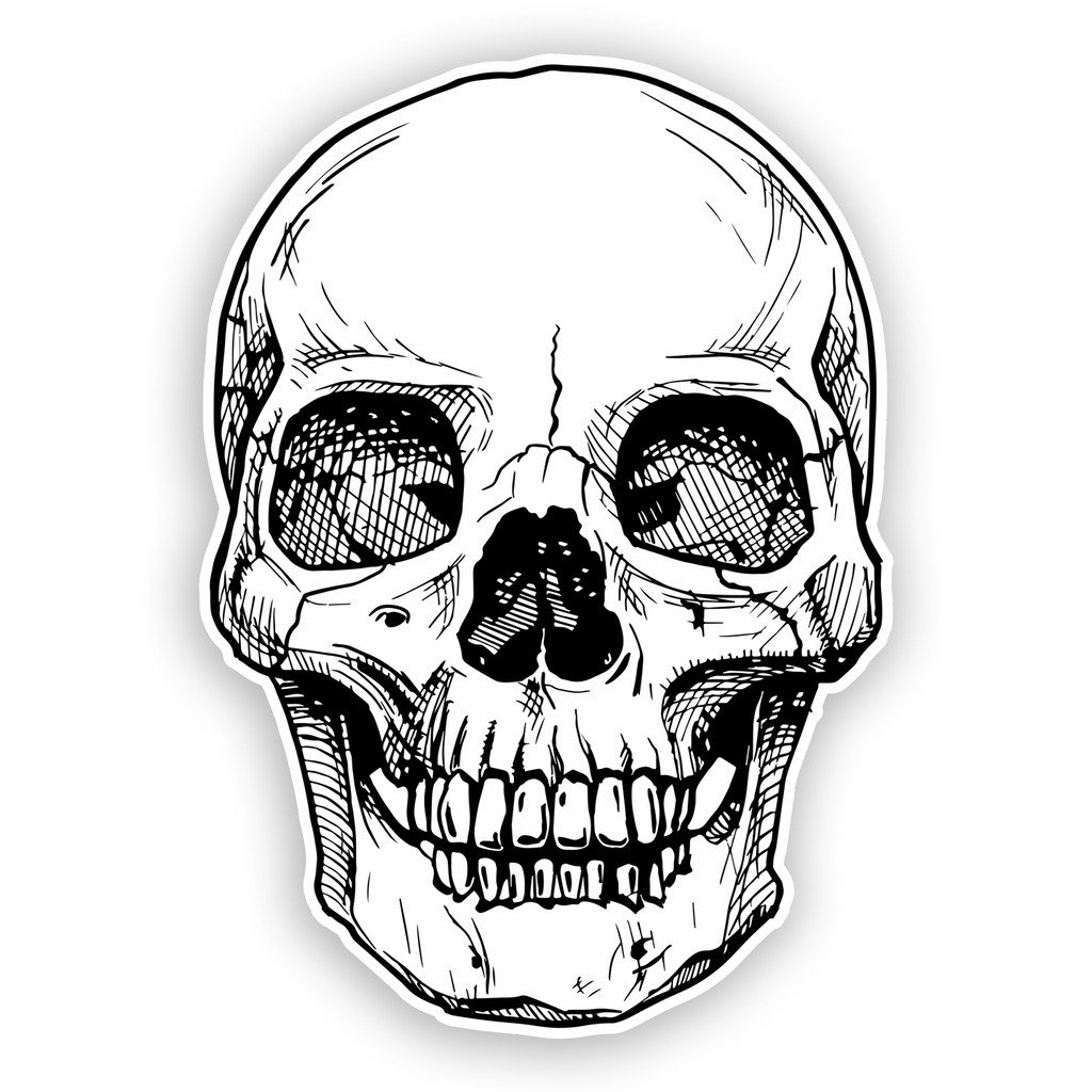 Destinationvinyl Multi 2 X 15Cm/150Mm Skull Vinyl Stickers Travel Luggage Horror Scary #7453
