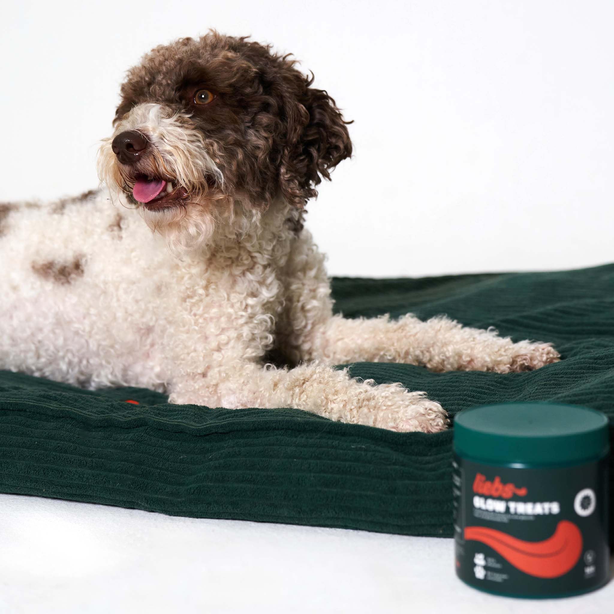 liebs Hunde Supplement Verdauung, Darm & Magen (2 x 300g) Relief Snack | Heilmoor für Hunde mit empfindlichen Magen | Dog Treats unterstützen die Normale Verdauung | Kohletabletten | 100% pflanzlich