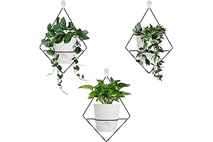 Stunning Wall Mount Plant Holder Enhances Indoor Decor with Geometric Elegance