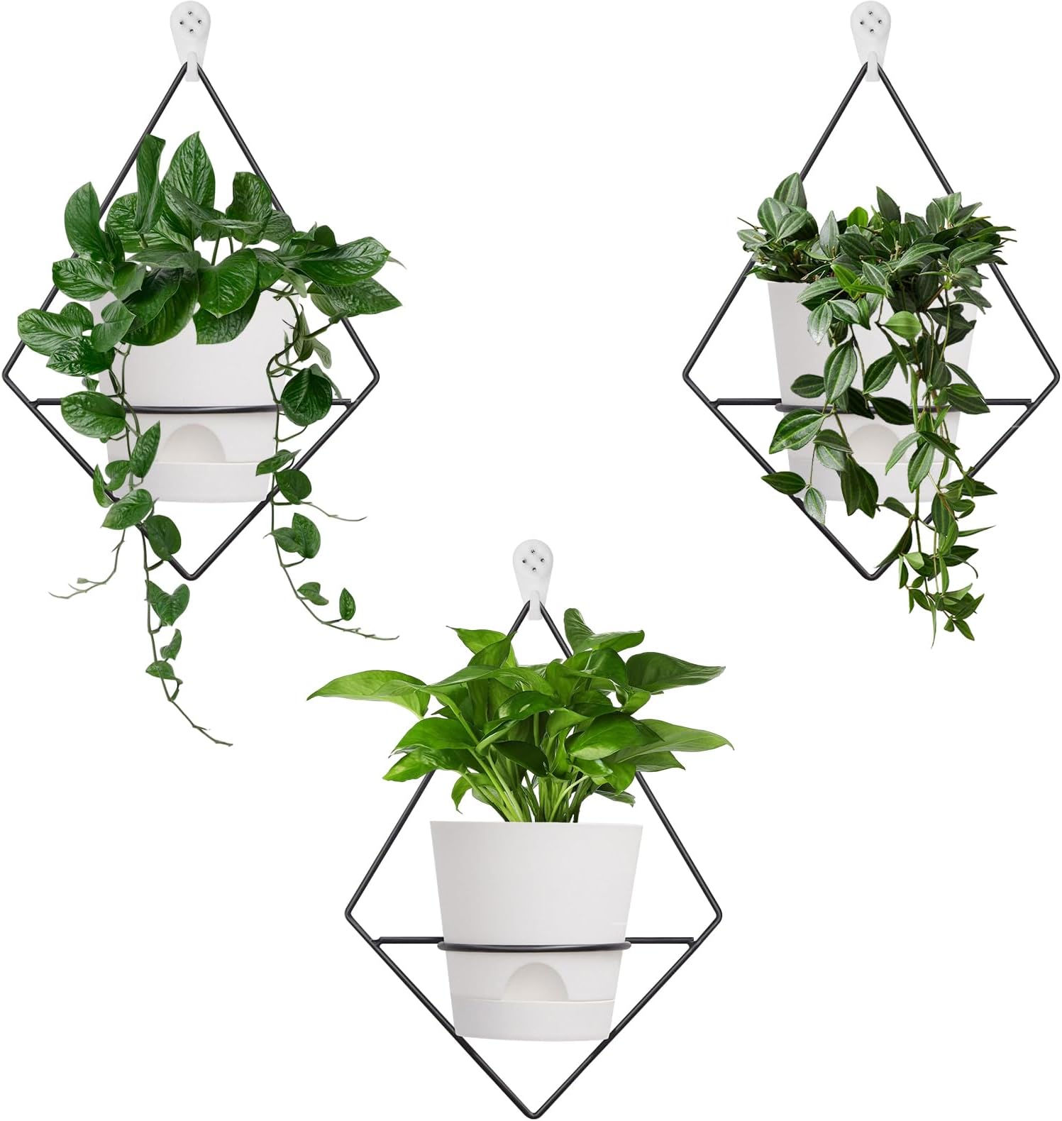 Umbra Trigg Hanging Planter Vase & Geometric Wall Decor