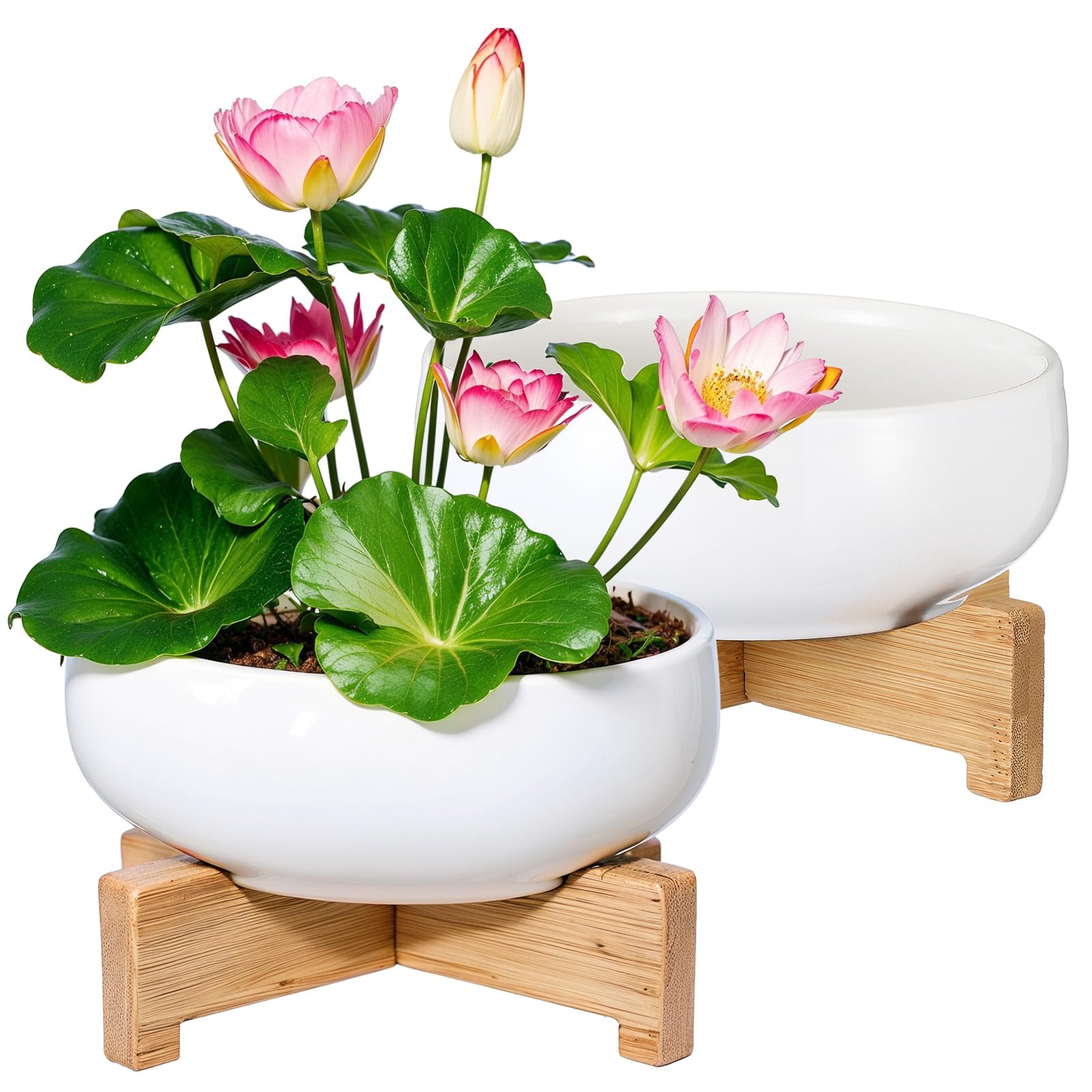 Baderke 2 Piece Lotus Bowl Planter Set