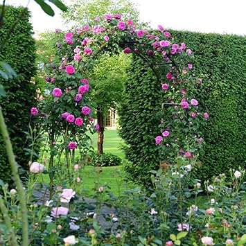 JHshop Black Garden Arch, Wedding Arch-Easy to Assemble, 78" H x 45" W, Adjustable Metal Arch for Garden Arbor Trellis & Climbing Plant,Metal Balloon Arches