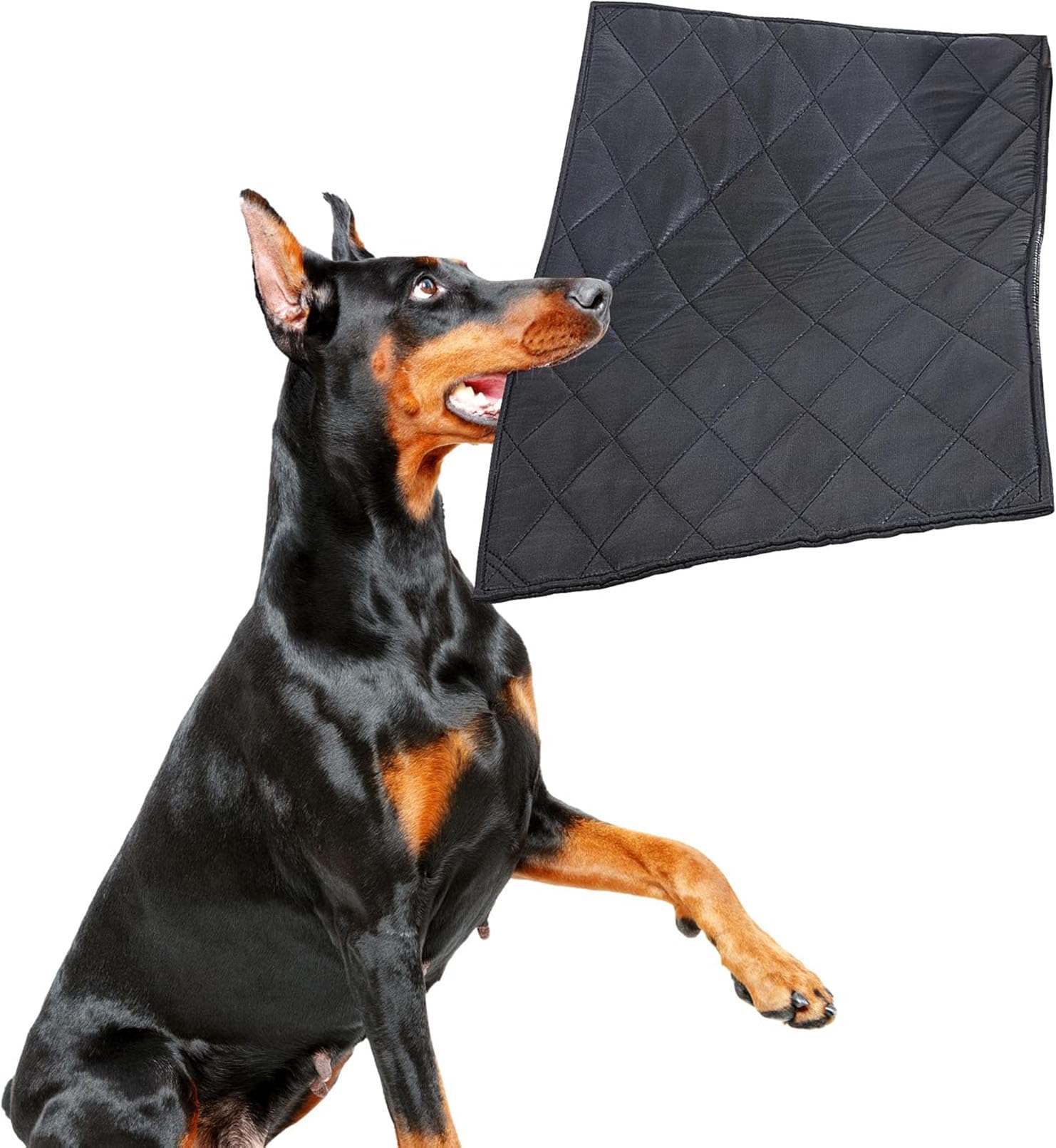Tapis Chien Indestructible Anti-Mastication 71x119cm Noir Lavable Résistant Pipi