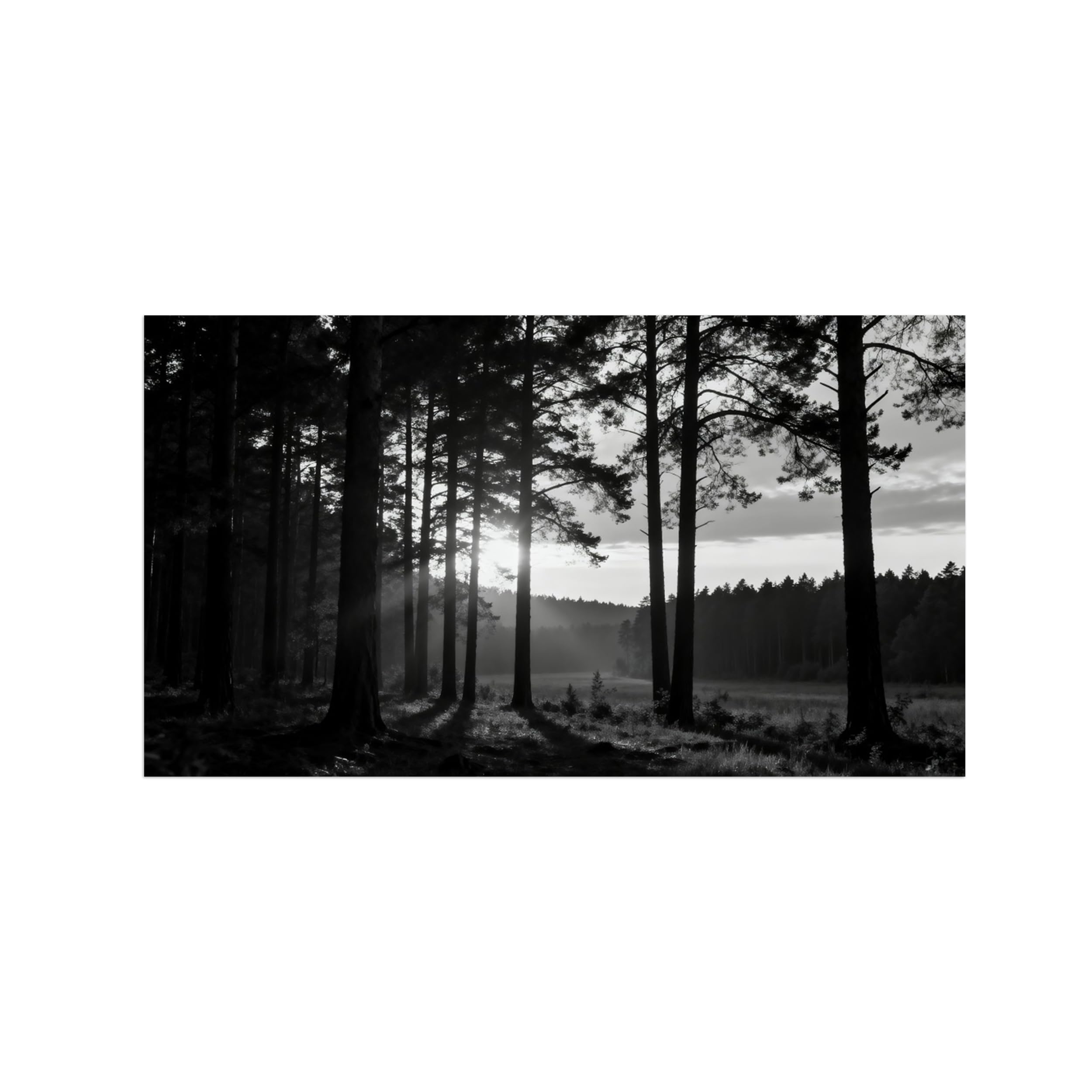 OZPWBVY Black and White Landscape Print Painting-Forest Tree 6-Minimalist Canvas Wall Art Picture for Home Decor 24x42in 60x108cm Unframed