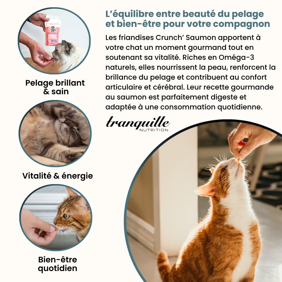Tranquille Crunch' łosoś dla kota (zestaw 40 x 60 g) | Przysmaki bogate w Omega 3 i kwasy tłuszczowe, zdrowa skóra i błyszcząca sierść, wsparcie stawów i mózgu, karma dla kota