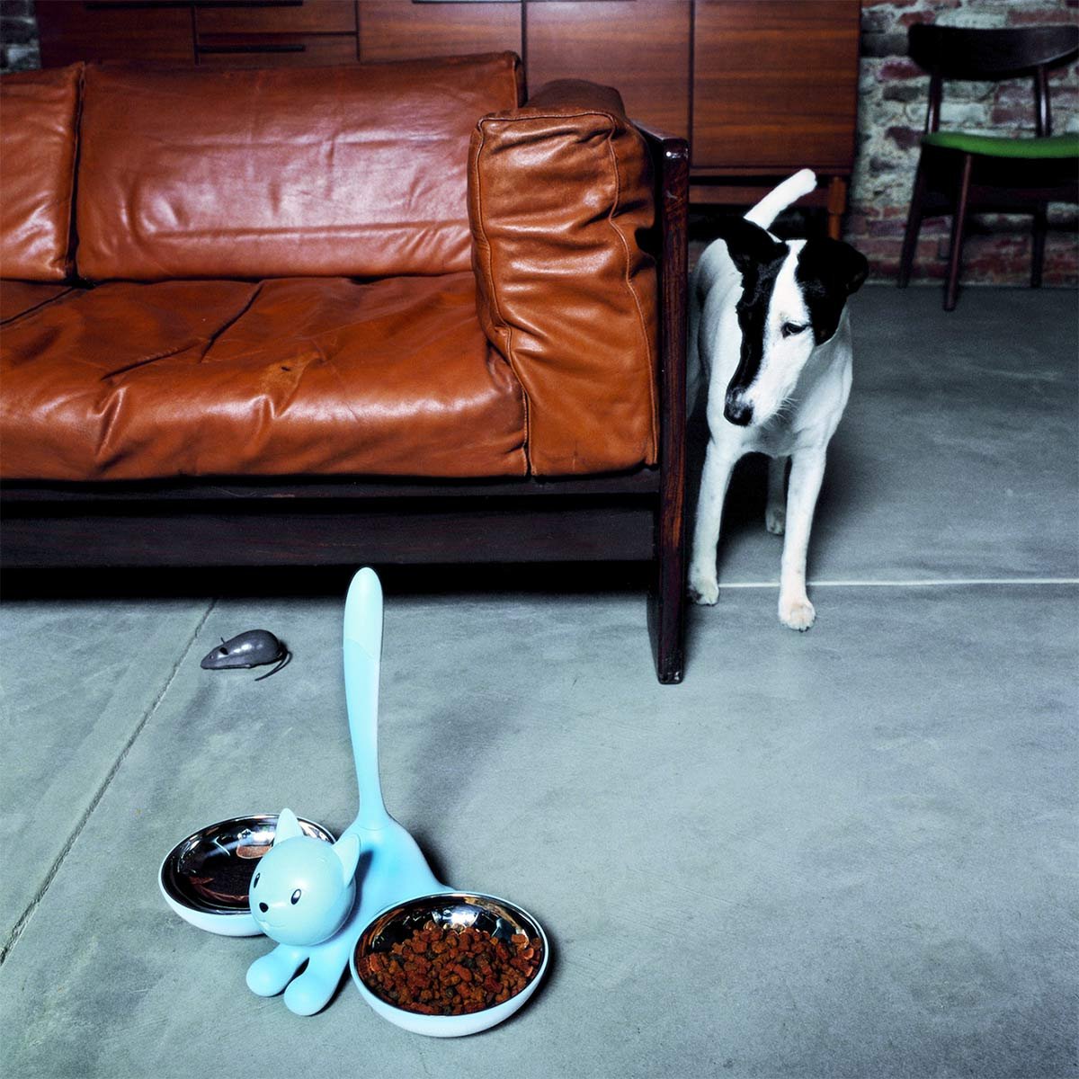 Alessi Tigrito AMMI09 B - Ciotola per Animali di Design, Acciaio Inox 18/10 e Resina Termoplastica, Nero