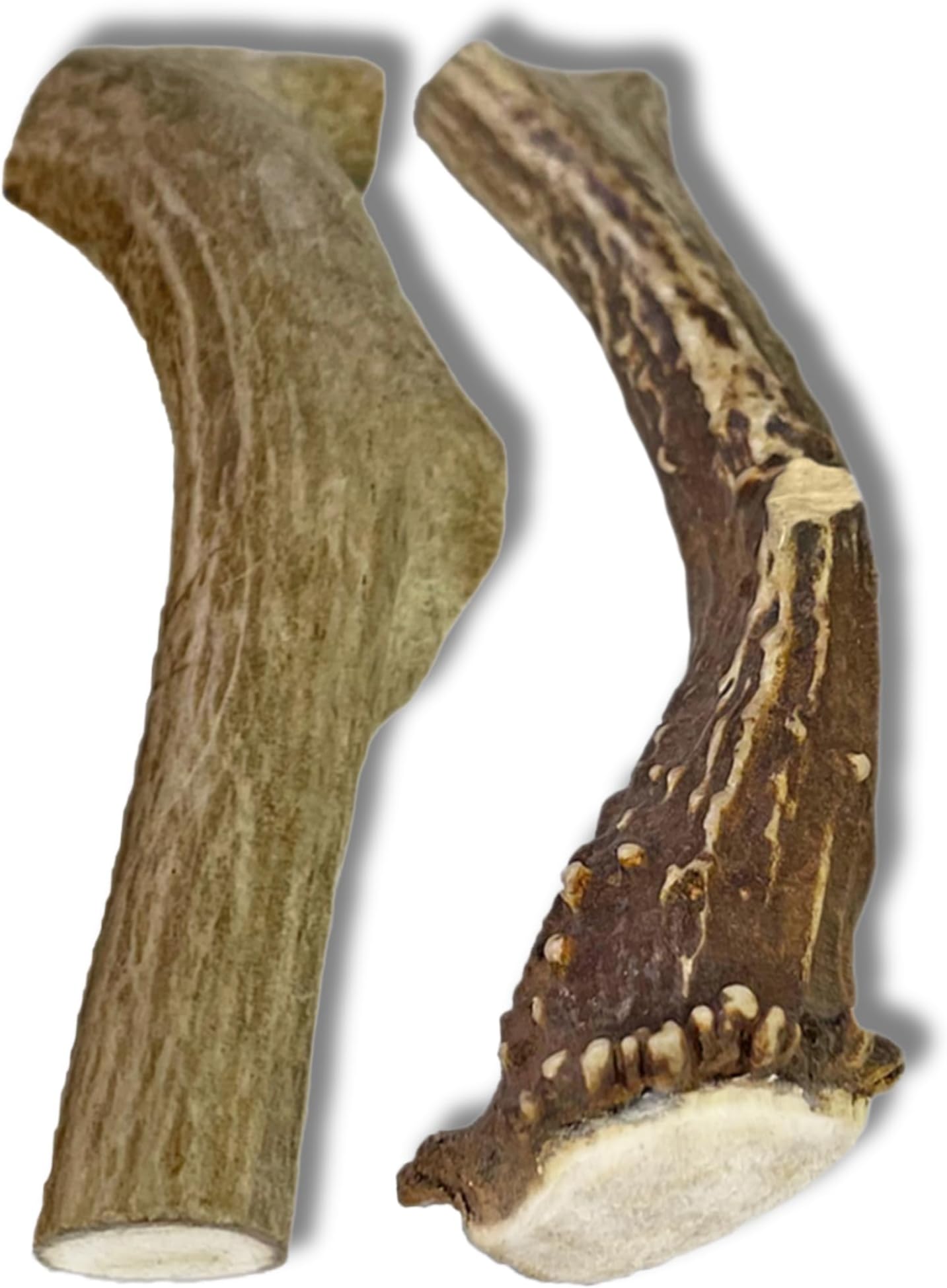 Top Dog Chews Premium Large Grade A Whitetail Deer Antler for Dogs Single Antler