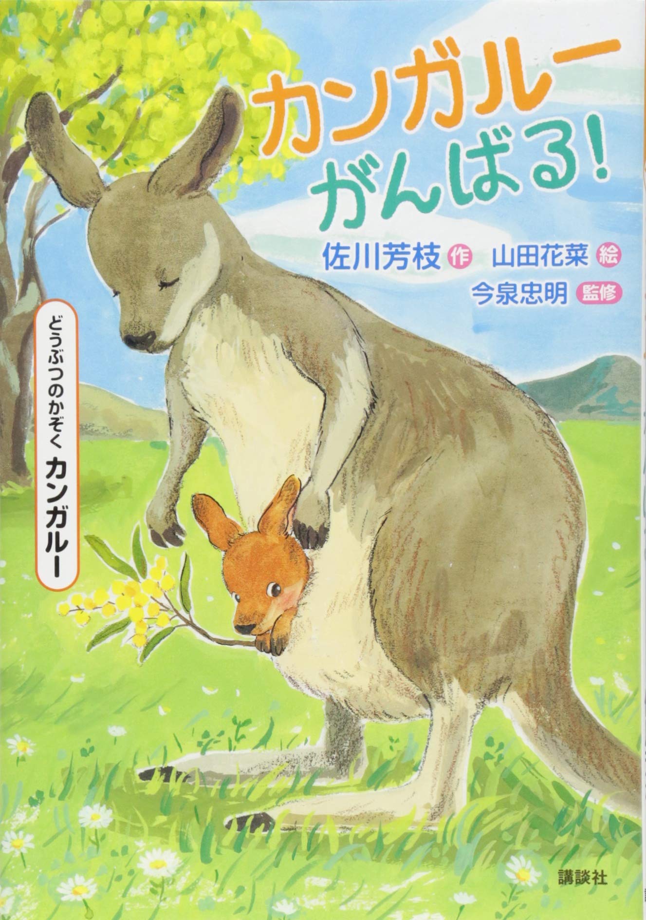 どうぶつのかぞく カンガルー カンガルーがんばる 佐川 芳枝 山田 花菜 今泉 忠明 今泉 忠明 本 通販 Amazon