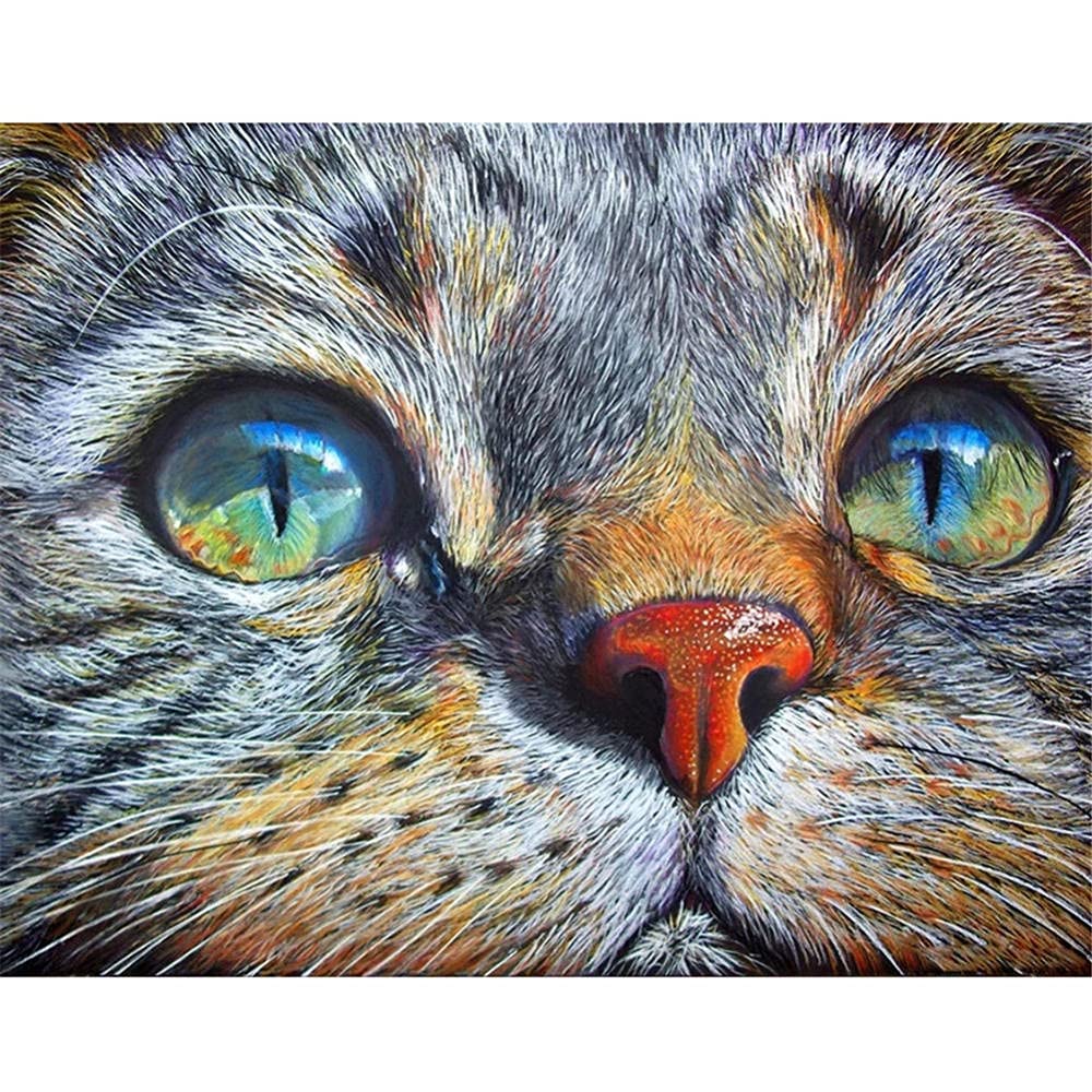 Kit 5D Diamond Painting Gatto Nero Pantera 20x25cm – Tela HD, Diamanti In Abbondanza (+30%), Strumenti Inclusi, Fai Da Te Per Adulti E Bambini - 4