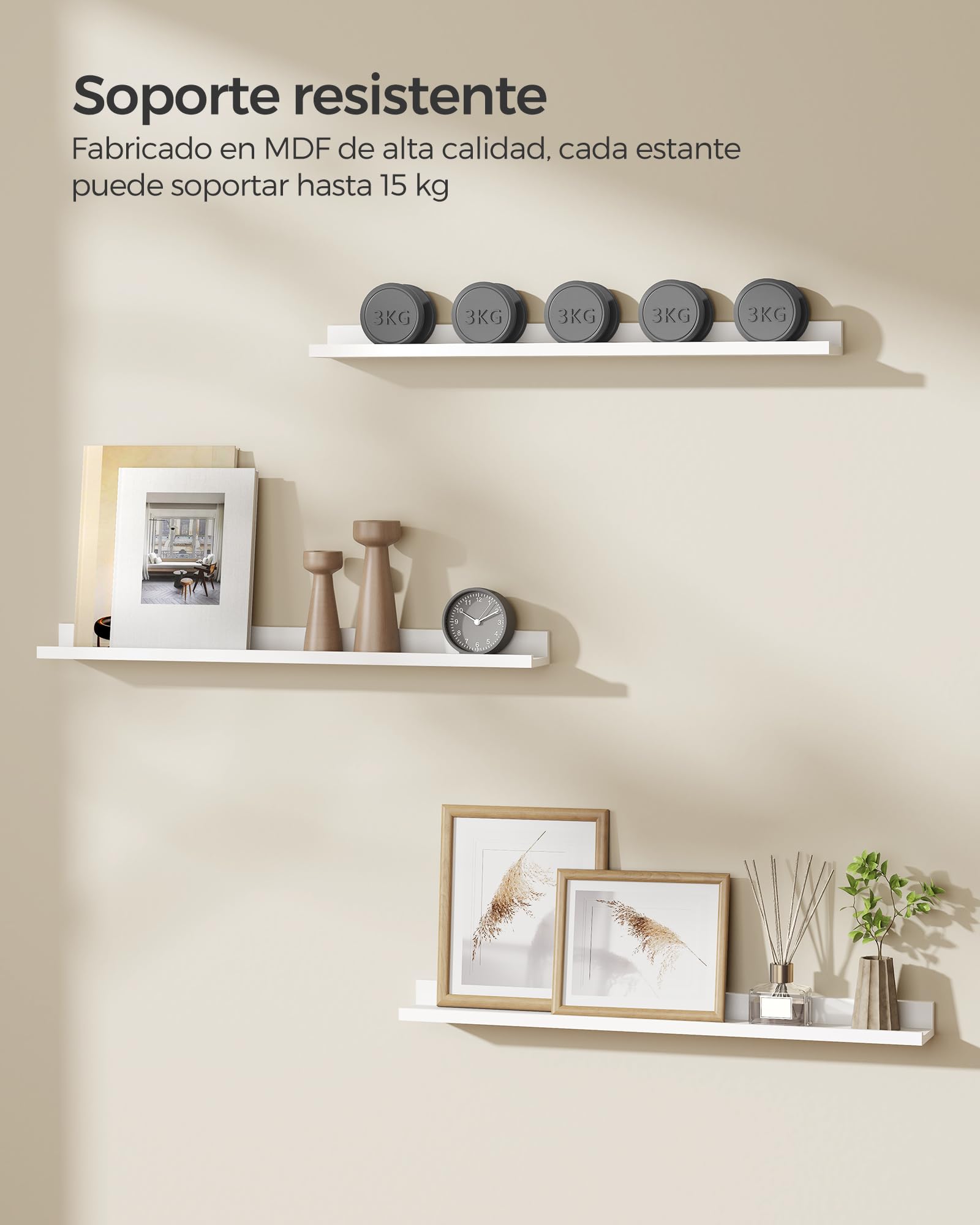 SONGMICS Estantes de Pared, Juego de 3, Ancho de 80 cm