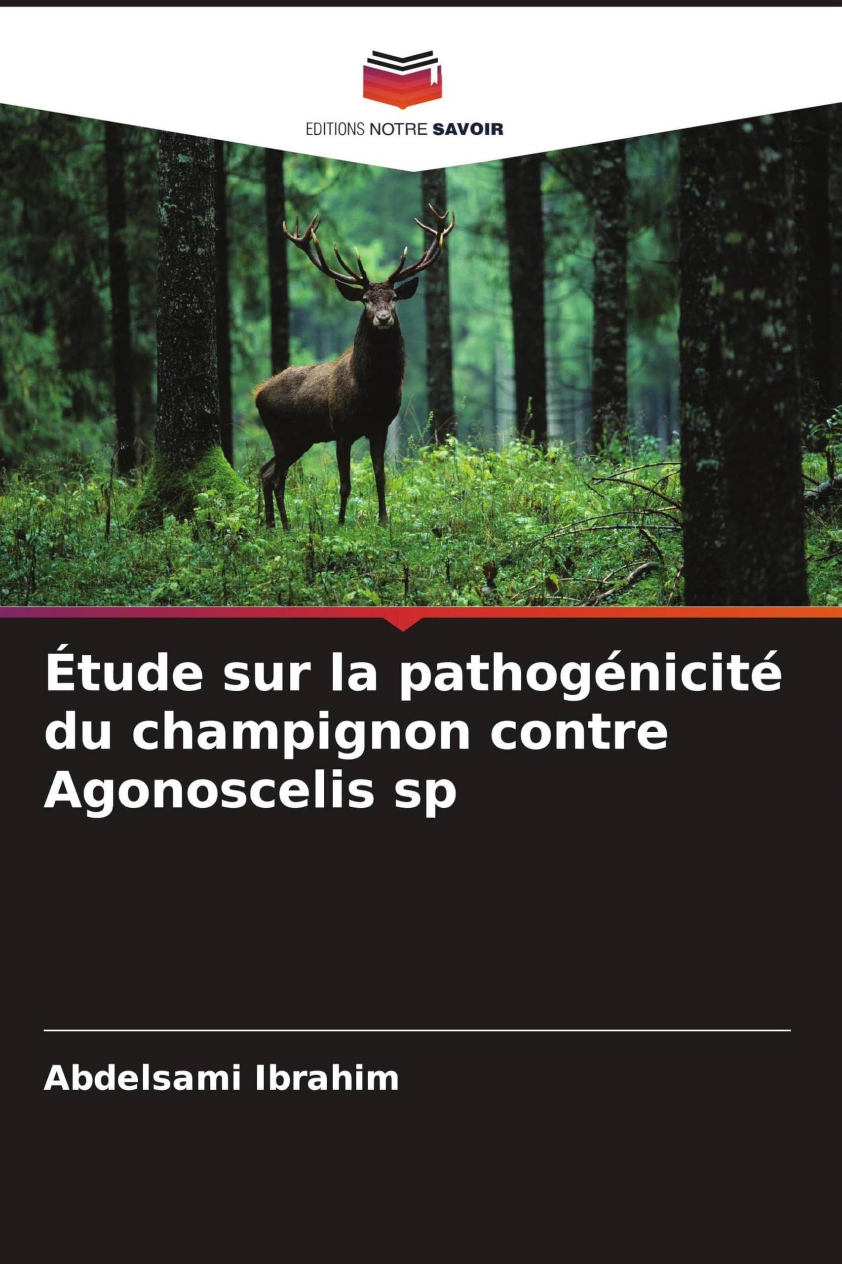 Étude sur la pathogénicité du champignon contre Agonoscelis sp