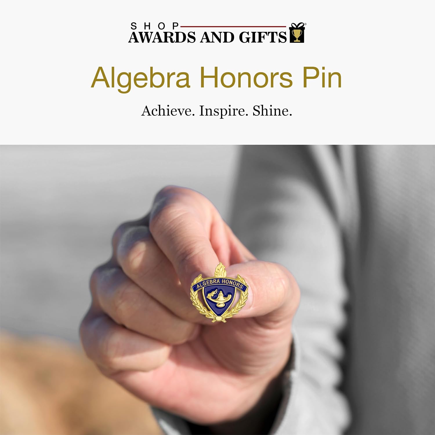 SHOP AWARDS AND GIFTS HP Academic Honors Series 1 Inch Lapel Pins