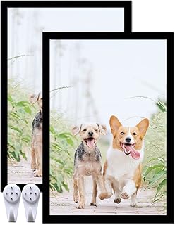 icariery Black 16x24 Picture Frame Set of 2, High Transparent Poster Frames for 16 x 24 Canvas Collage Photo Poster Certificate Wall Gallery Horizontal Vertical 16 By 24