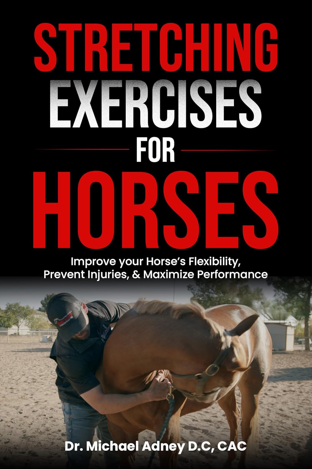 Stretching Exercises for Horses: Improve Your Horse's Flexibility, Prevent Injuries, & Maximize Performance      [Print Replica] Kindle Edition