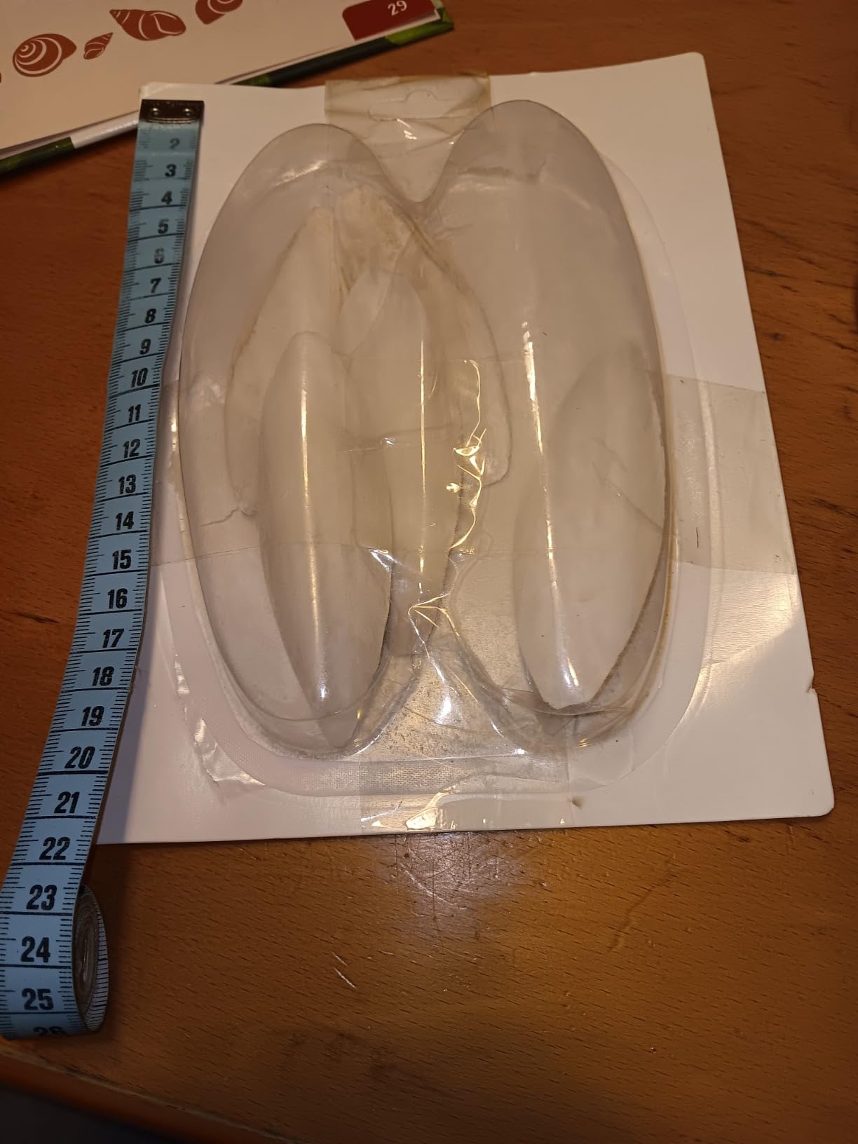 10x Sepiaschalen 9-12cm Mit Halterung - Natürliche Kalziumquelle Für Vögel, Reptilien & Nager