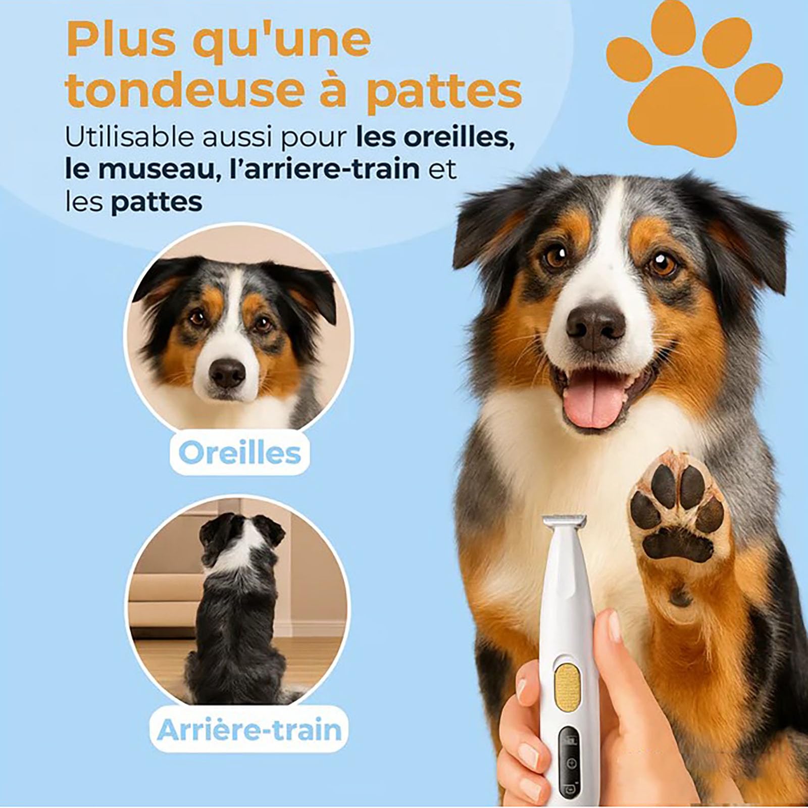 Tondeuse Chatinou, Tondeuse Chat Silencieuse Anti-Nœuds, Douceur & Sécurité, Soin-Des-Pattes-Sans-Douleur-En-Quelques-Secondes, Led Intégrée, Pour Pattes, Yeux, Oreilles, Visage, Corps (1PC)
