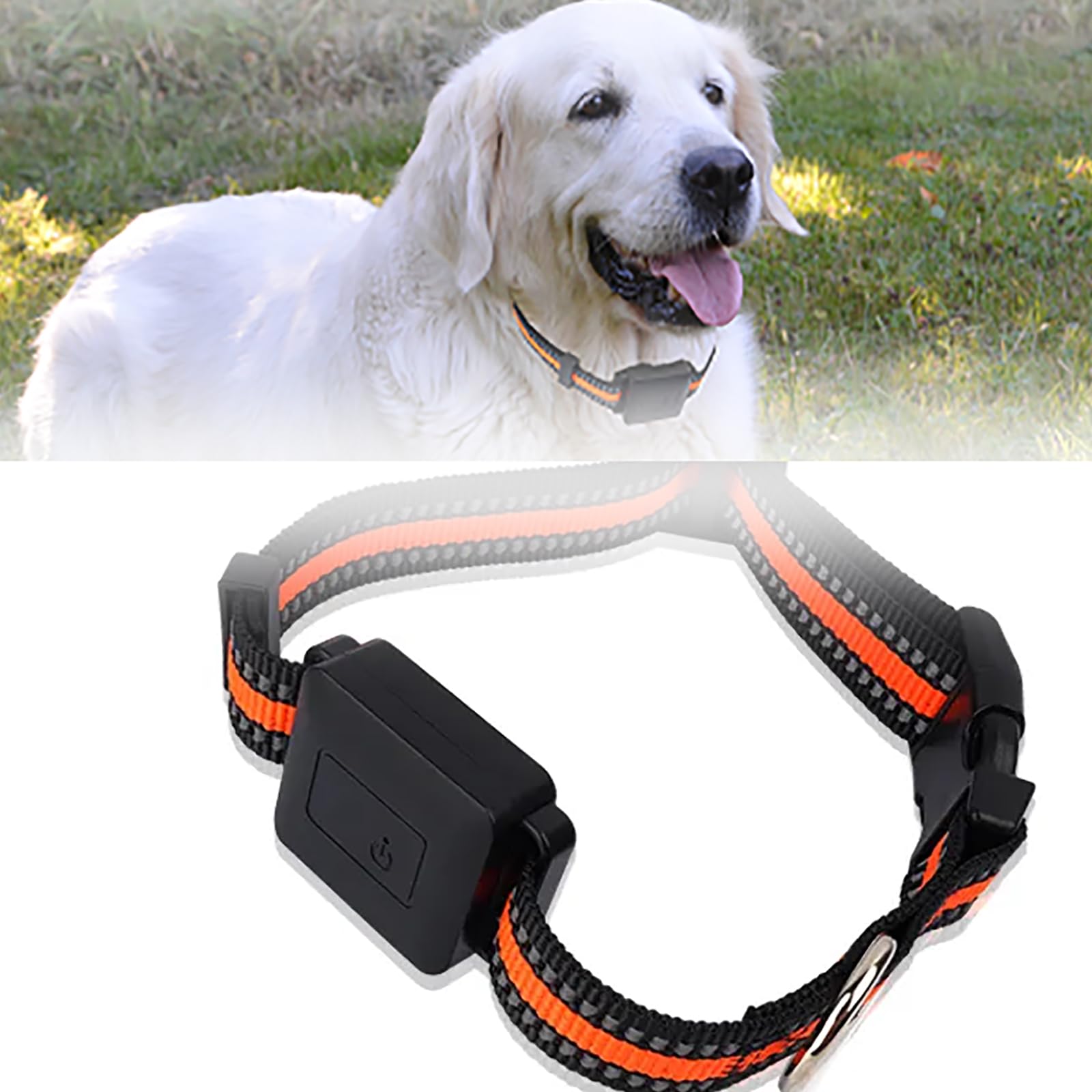 Tracker GPS per animali domestici con monitoraggio in tempo reale, monitoraggio APP e cronologia di 90 giorni per cani e gatti