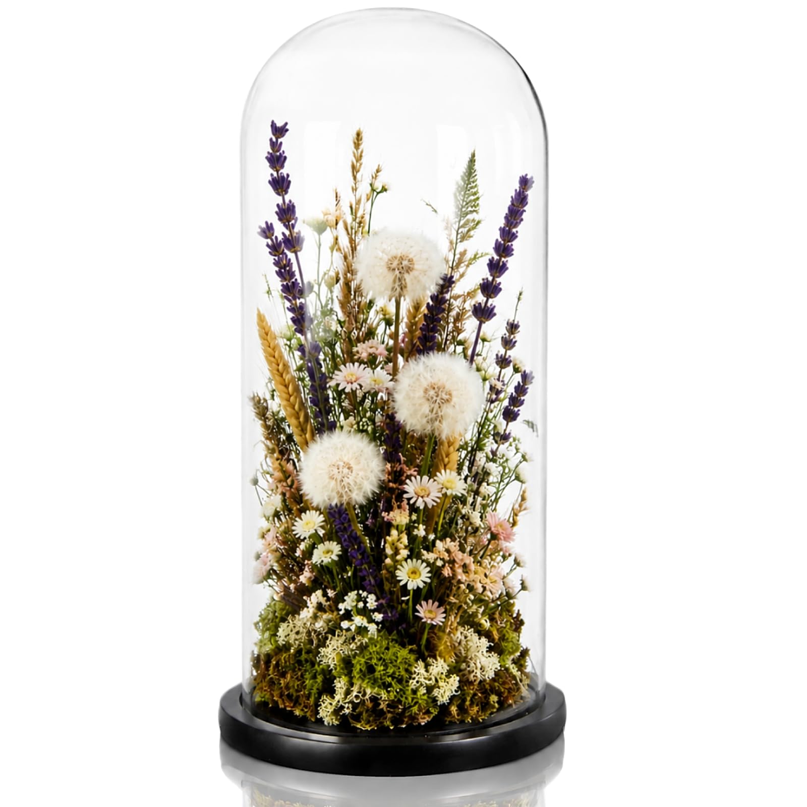 ZOOFOX 13.8 Inch Tall Glass Dome with Base, Clear Glass Empty Display Cloche, Decorative Bell Jar for Succulents, Collectibles, Fairy Lights, Photos, Medals, Keepsakes, Heirlooms