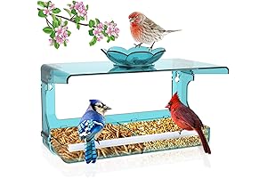 Wenmixer Window Bird Feeder: Embrace the Harmony of Nature's Symphony