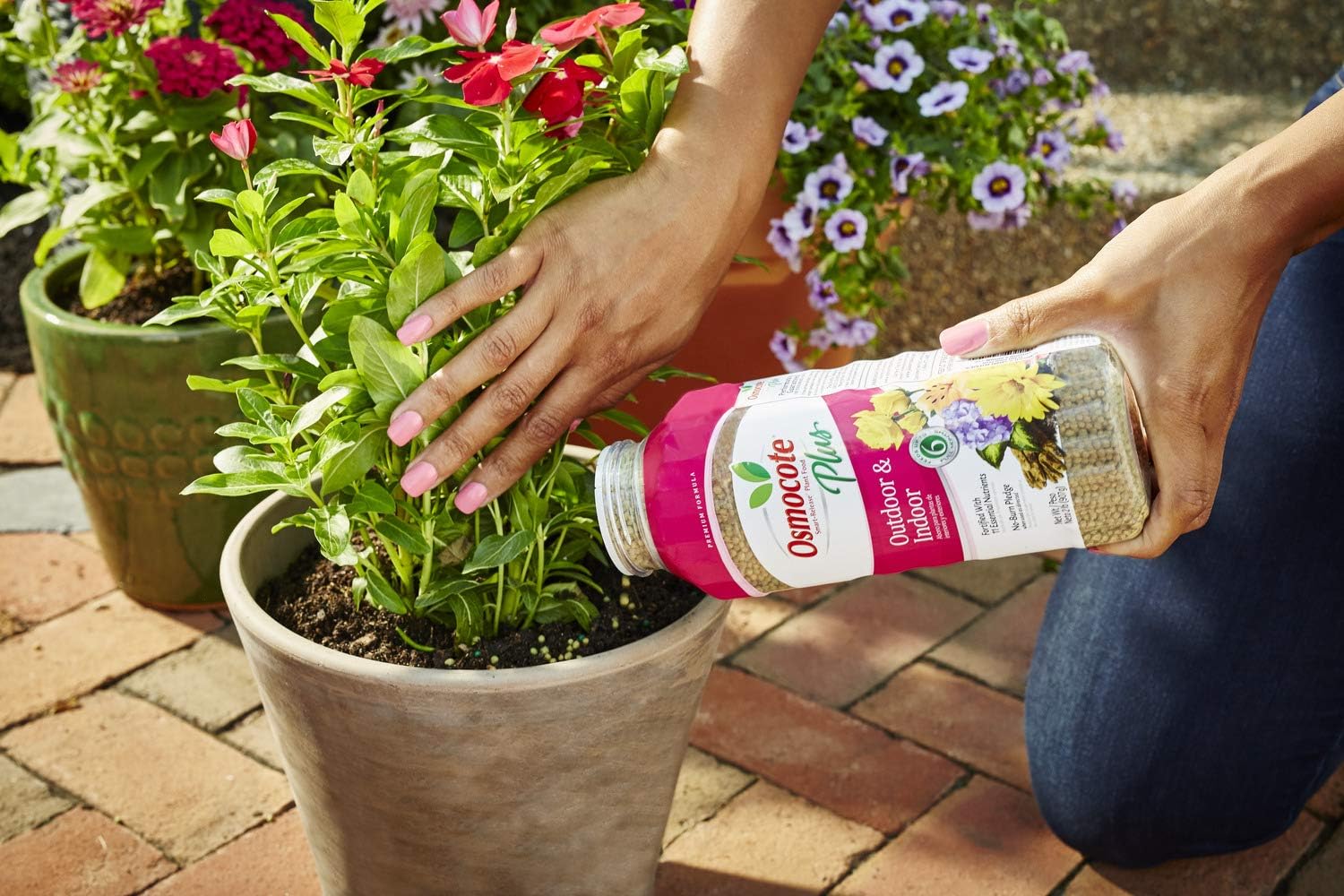 Osmocote Smart-Release Plant Food Plus Outdoor and Indoor, For Most Plant Types, In-Ground and Container Plants, Contains 11 Essential Nutrients, 2 lb.