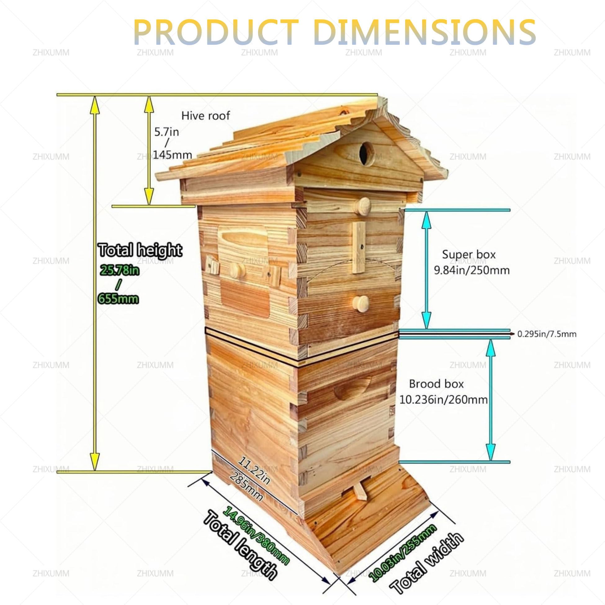 Kit de démarrage pour ruche avec fenêtre d'observation, bec verseur et boîte de cadre complète pour apiculteurs et charpentiers – Parfait pour les nouveaux apiculteurs