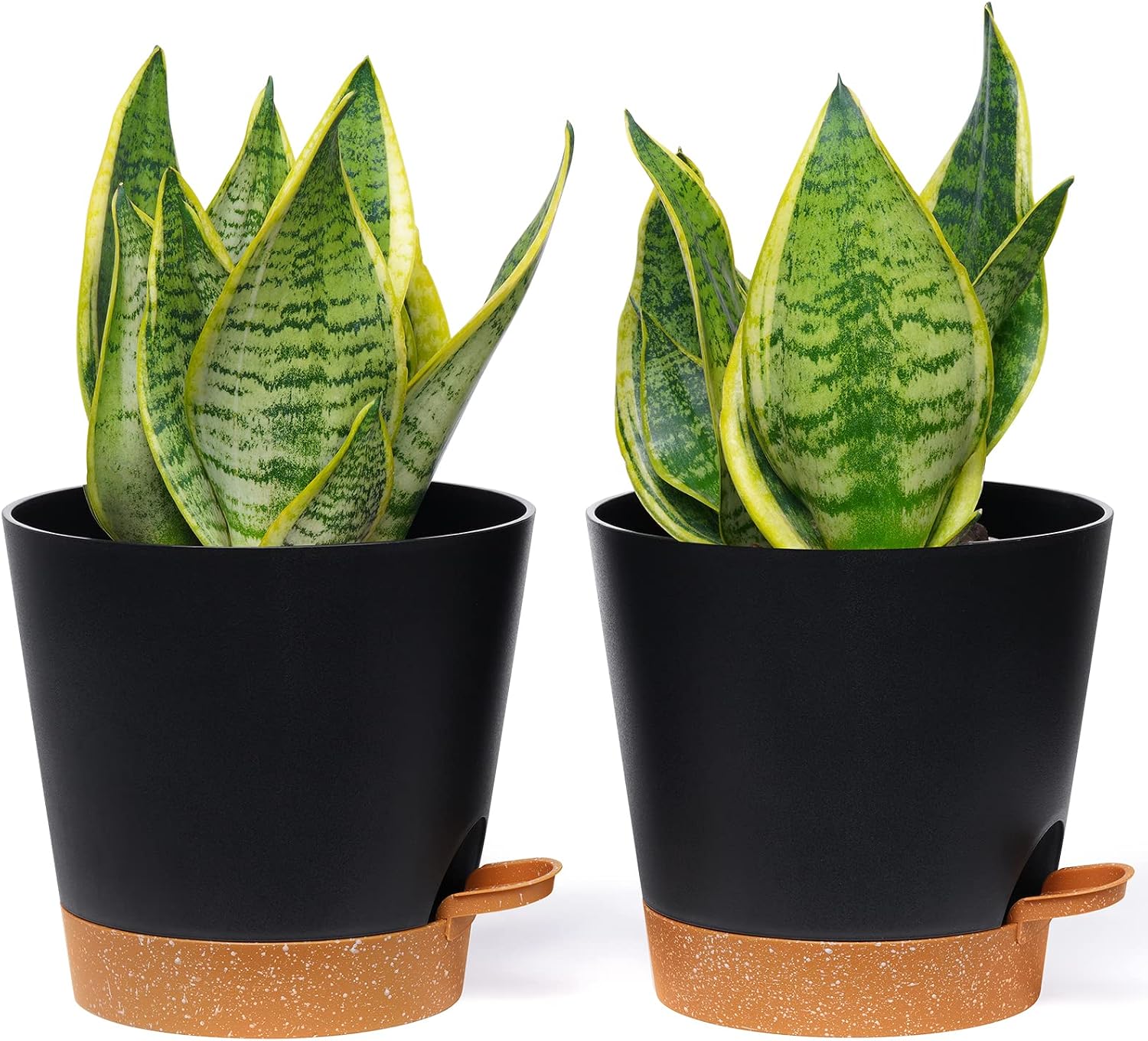 homenote 8 Inch Plant Pots, Self Watering Planters for Indoor Outdoor with Drainage Holes, Removable Saucer Reservoir and Watering Lip for Flowers Plants Windowsill, Plastic Pots, 2-Pack, Dark Grey