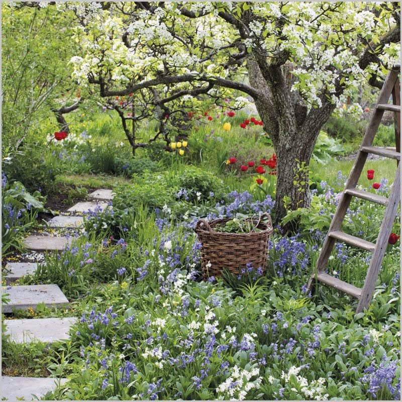 Gardeners World - Springtime Orchard
