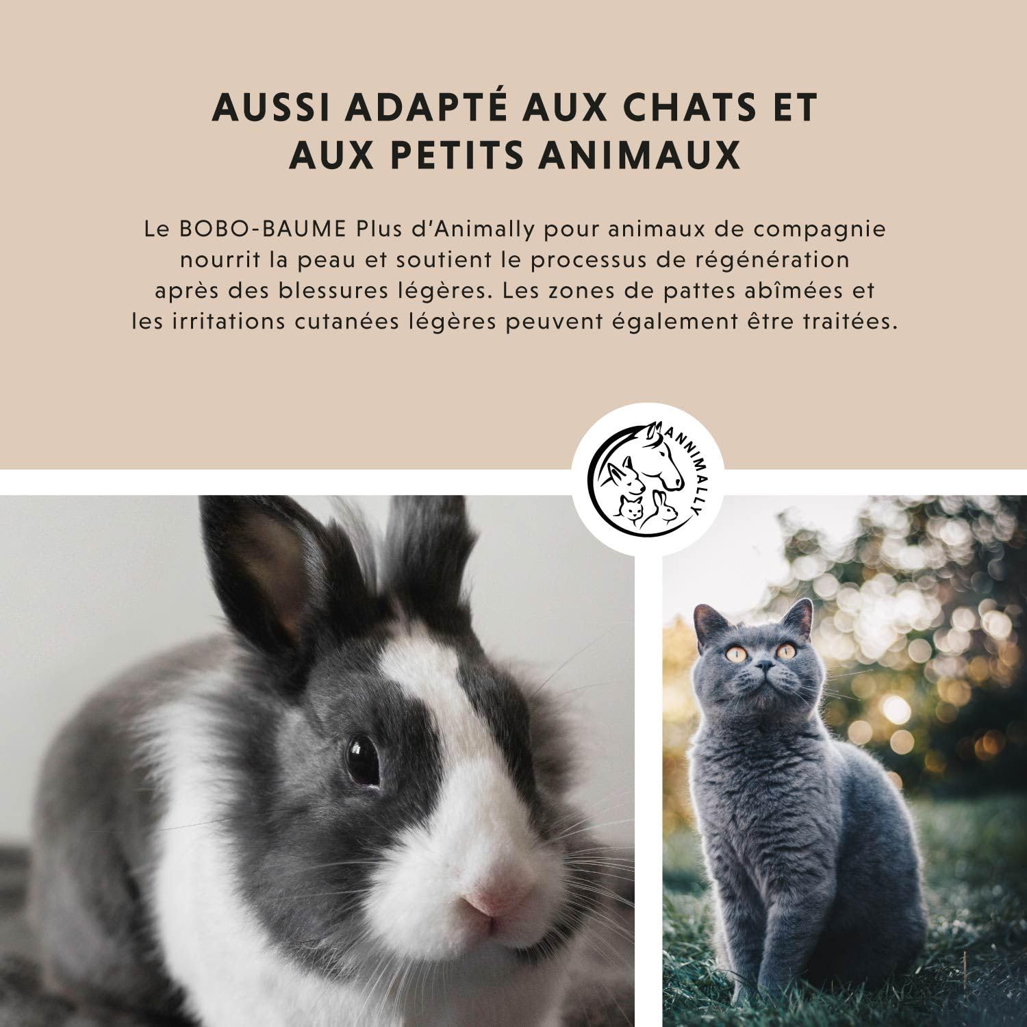 Pommade au Foie de morue et au Zinc pour Chiens 50g - Pommade pour blessures, eczéma et escarres - Baume pour Chiens, Chats, Chevaux et Petits Animaux avec du Zinc, de l'huile de Foie de morue