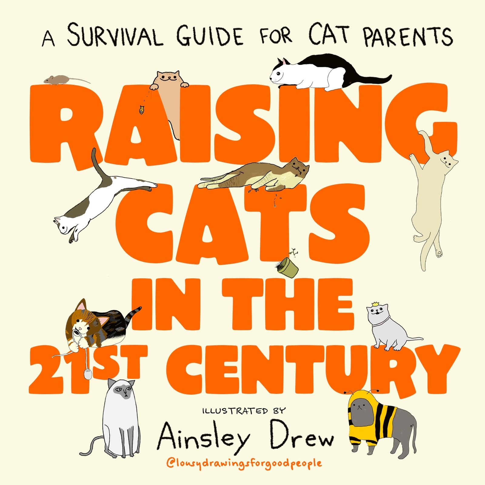 Raising Cats in the 21st Century by Ainsley Drew Hardback