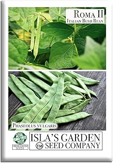 Roma II Italian Bush Bean Seeds (Phaseolus vulgaris) – 30+ Heirloom Non GMO Seeds by Isla’s Garden Seeds – Delicious Flat Green Pods for Home Vegetable Gardens, Easy to Grow Bush Beans, Gift Idea