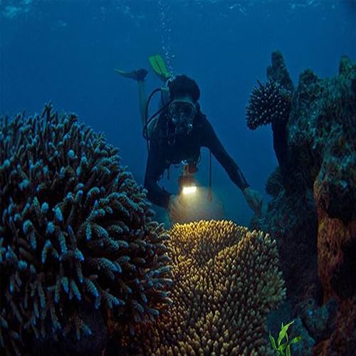 Miniatura 6 de Suptig Luz de video LED regulable impermeable de alta potencia para llenar luz nocturna submarina para GoPro Hero 11/Hero 10/Hero