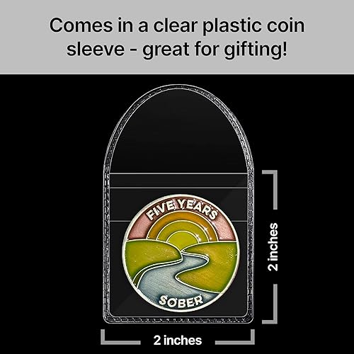 Miniatura 208 de The Achieve Mint Ficha sobria de 13 meses Chip sobrio de trece meses Regalo no AA, medallones no religiosos para hombres y mujeres que celebran