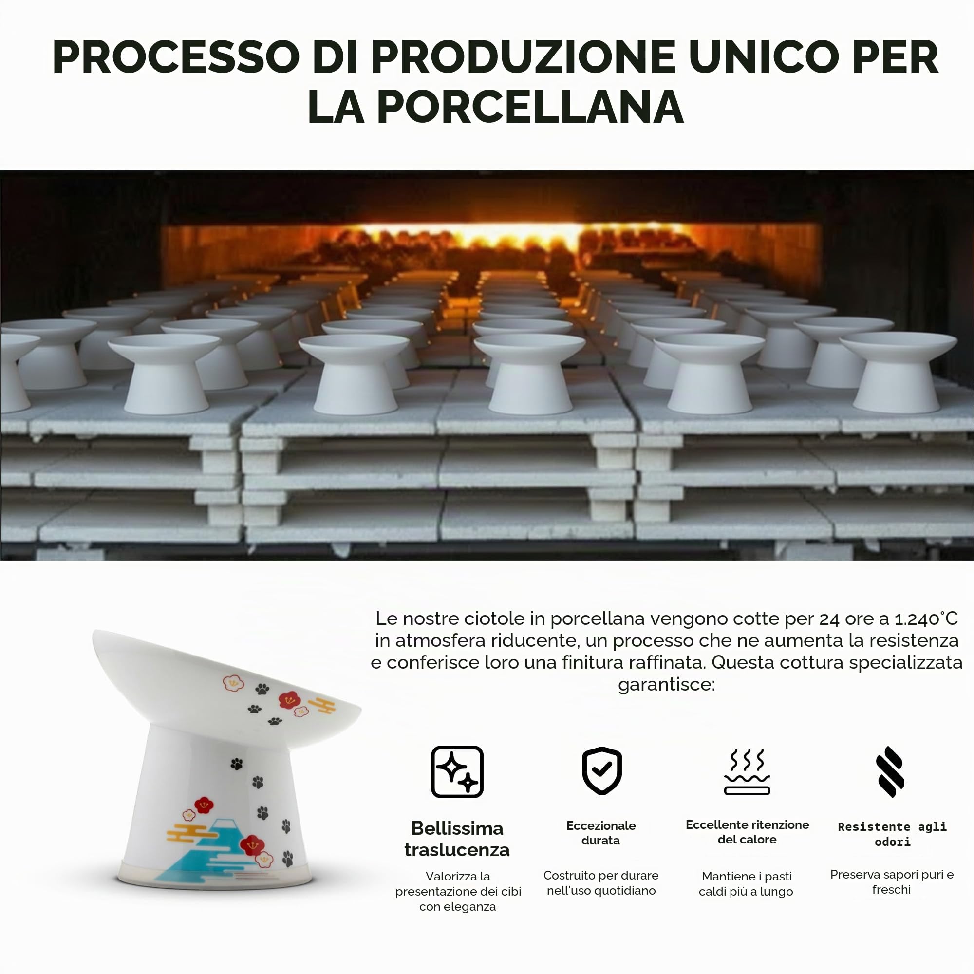 Necoichi Ciotola per cibo per gatti rialzata extra larga, rialzata, previene l'affaticamento del collo e dei baffi, lavabile in lavastoviglie e adatta al microonde, venditore n. 1 in Giappone