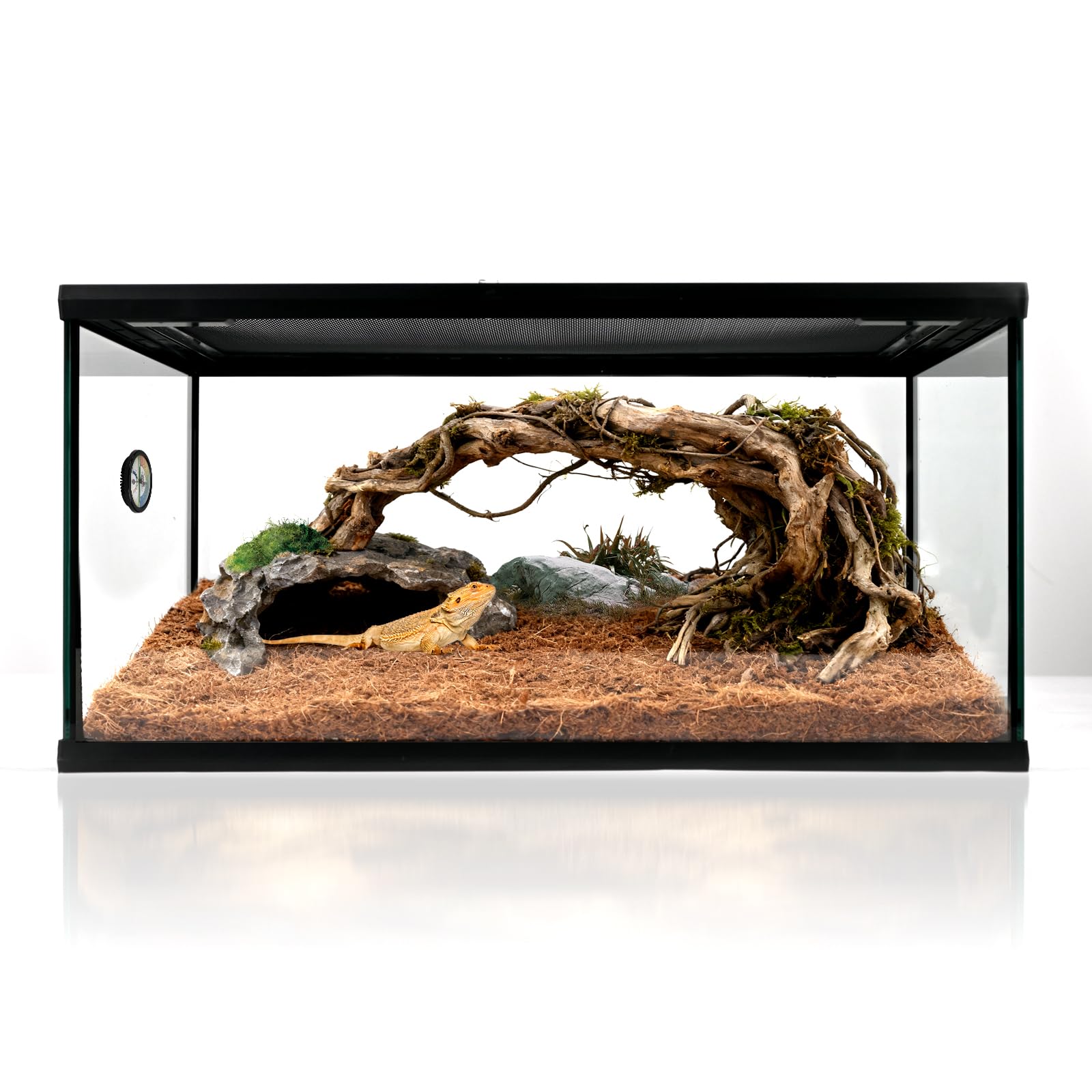 waazoorep Reptile Glass Tank 20x12x10