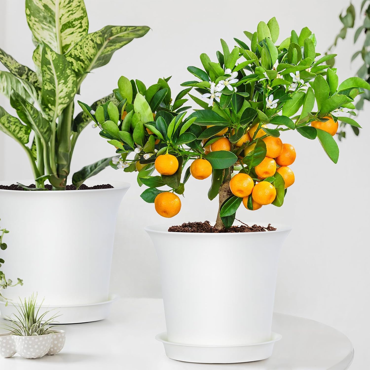 Oliz Planter Pots 8 Packs, 7.2 Inches Flower Pots with Drainage Holes & Trays, Ideal for Succulents, Herbs, Flower, African Violet, Garden Plant Pots for Home Garden Kitchen Decor (White-3)