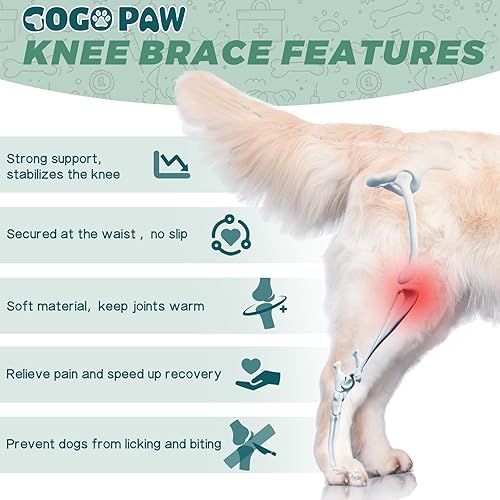 Miniatura 7 de Rodillera para perro para pierna trasera, soporte ajustable con 2 tiras de metal para ACL, CCL, displasia de cadera y lesiones de ligamentos, se