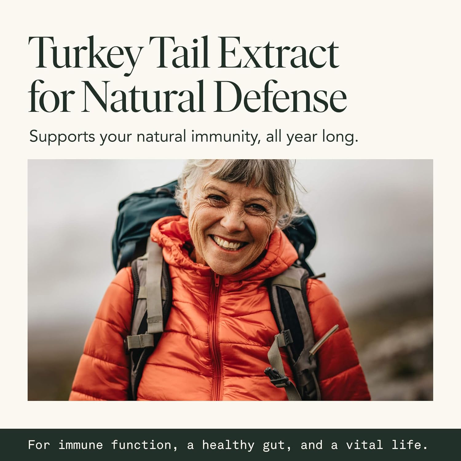 Fantastic Fungi Turkey Tail Mushroom Capsules - Organic Mushroom Extract for Gut Health & Immune Support, Functional Adaptogenic Turkey Tail Extract Supplement, Vegan Pills, 120 Caps (2-Month Supply) - Image 6