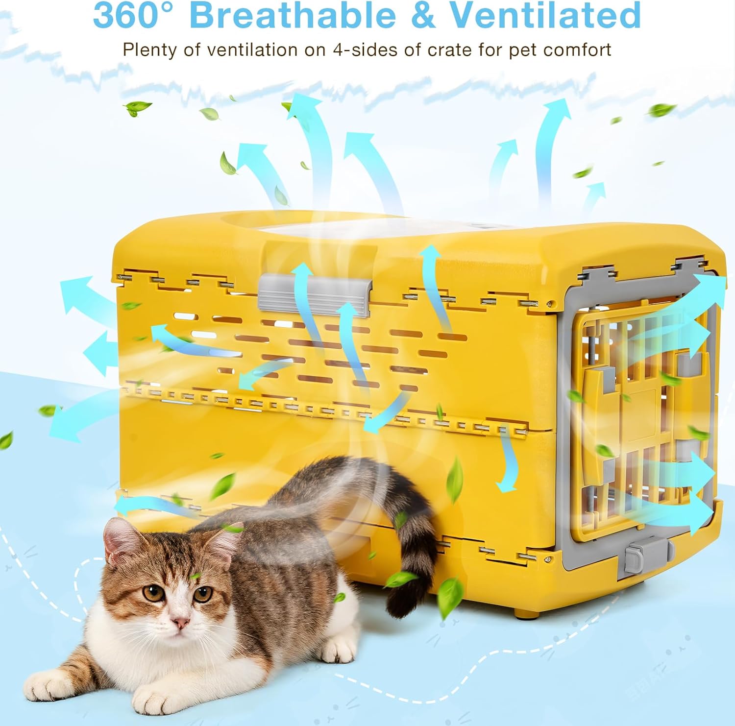 Cat Carrier Pet Carrier for Cat, Plastic Collapsible Cat Carrier Hard for Camping Vet Visits Travel, Fully Breathable Pet Travel Carrier Crate Under 13LBS (18.9" L x 11.8" W x 12.6" H)