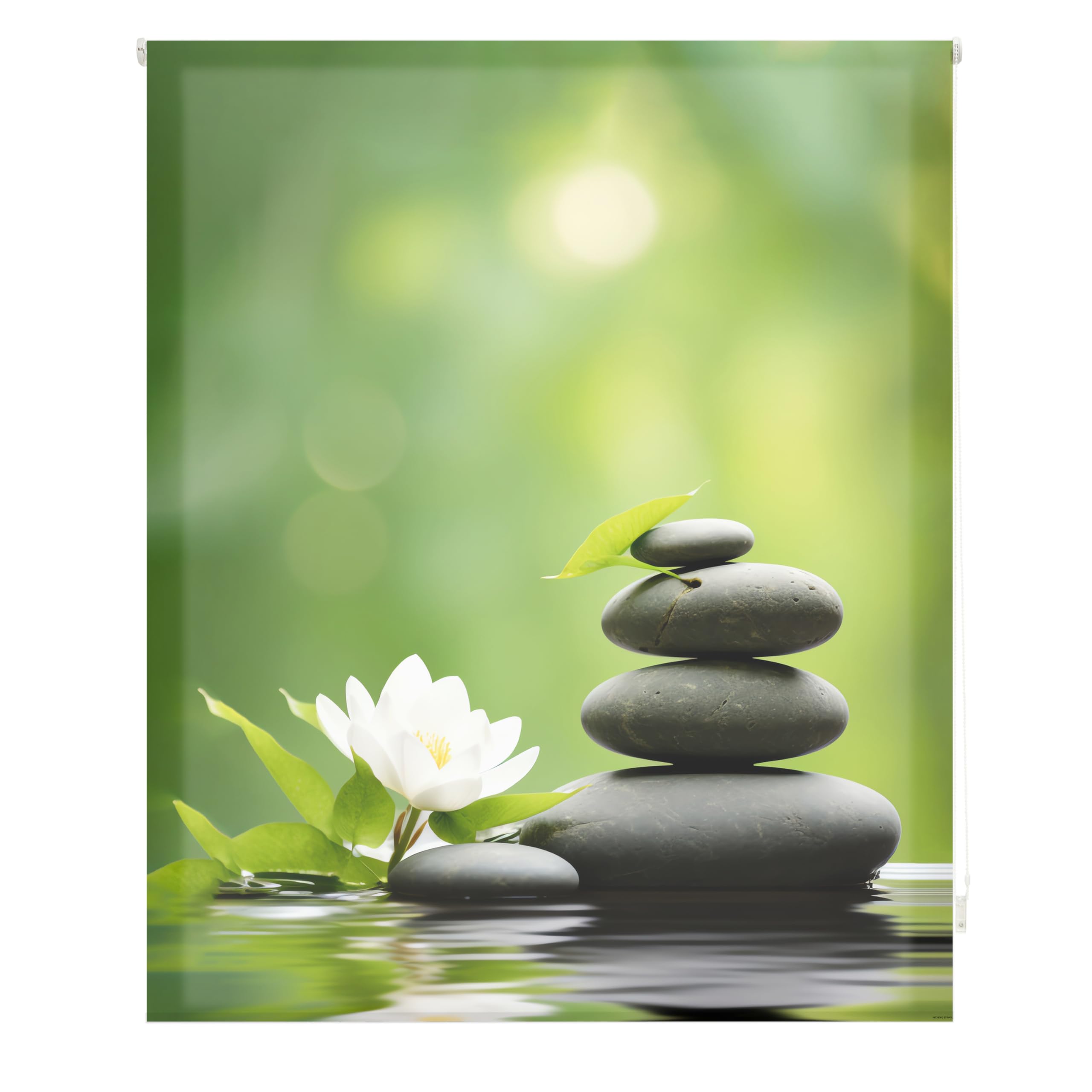 Blindecor Digital | Rollo durchscheinend Bedruckt | Familie Zen | Modell Z-Teich | 150 x 180 cm (Breite x Höhe) | Stoffgröße 146 x 175 cm | Fensterrollos
